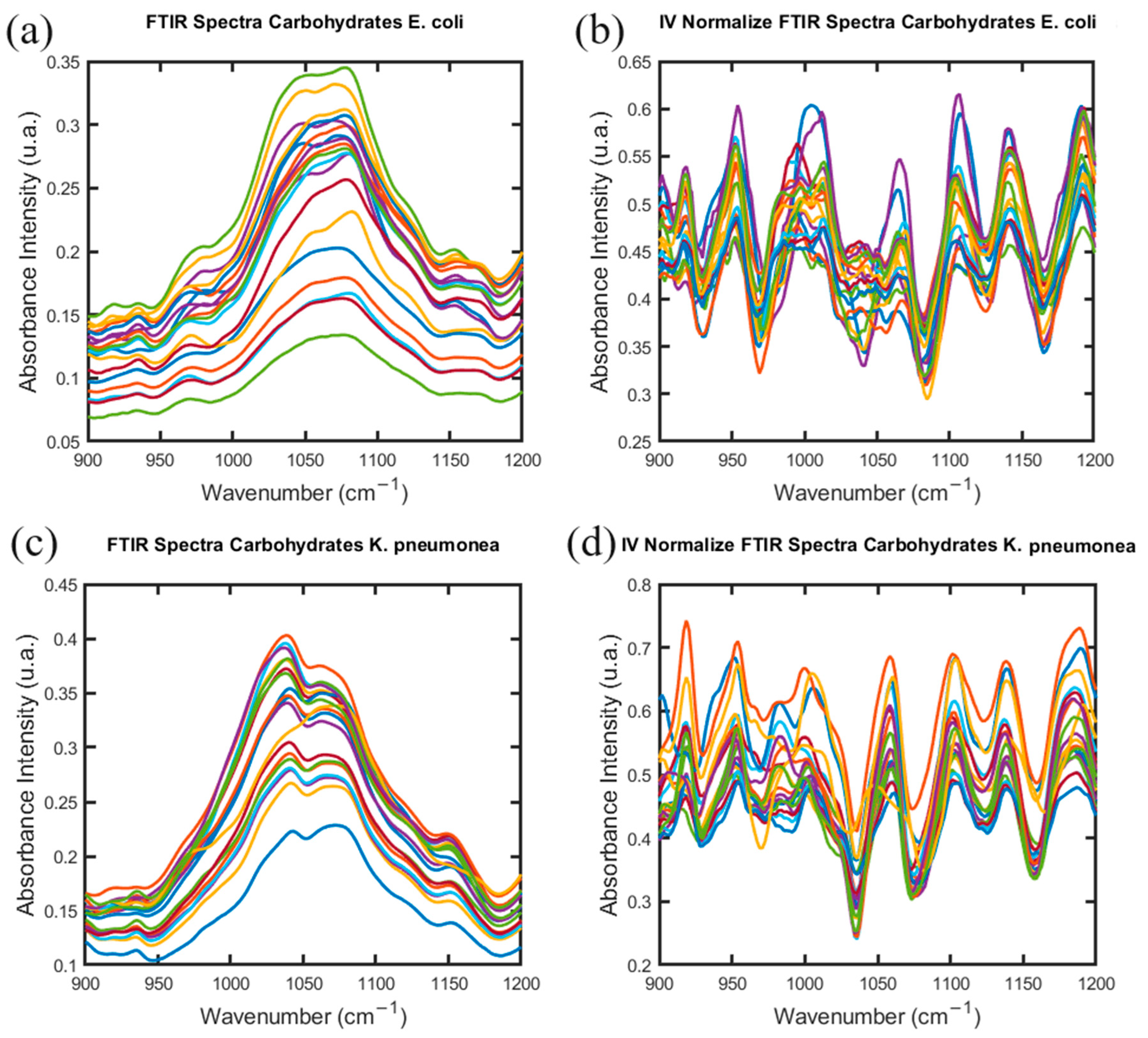 Antibiotics 13 00821 g004