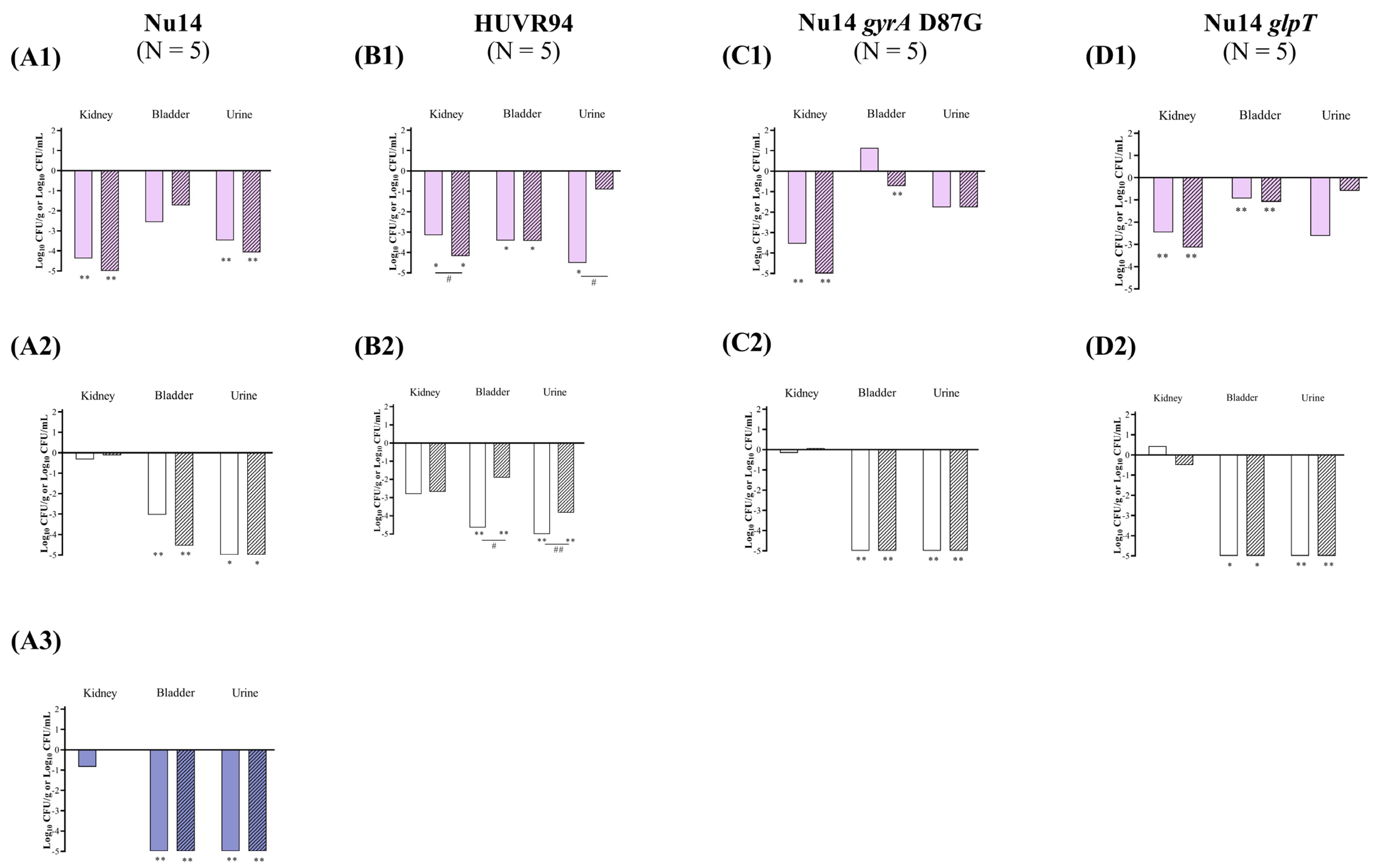 Antibiotics 13 00827 g004