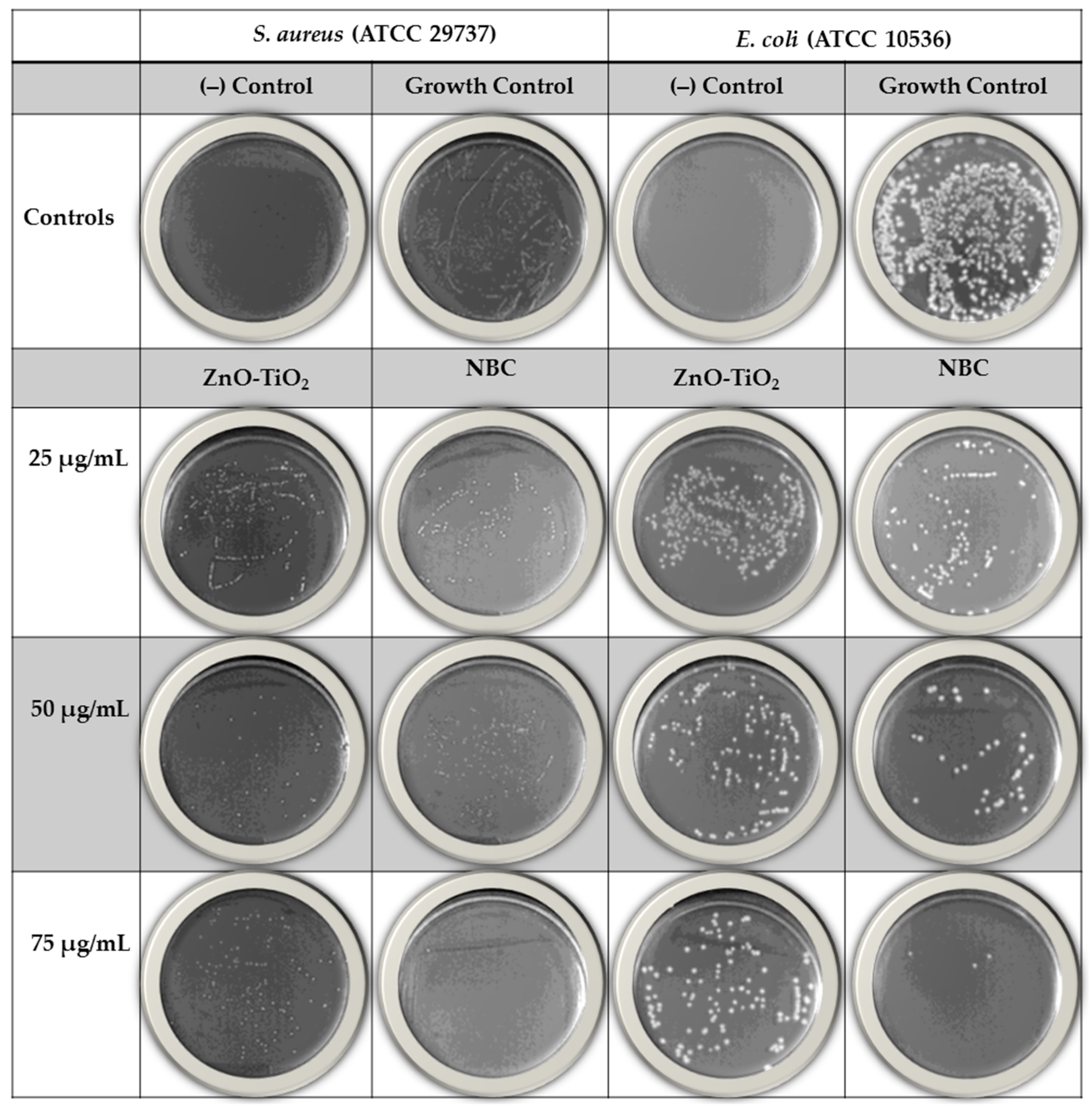 Antibiotics 13 00836 g004