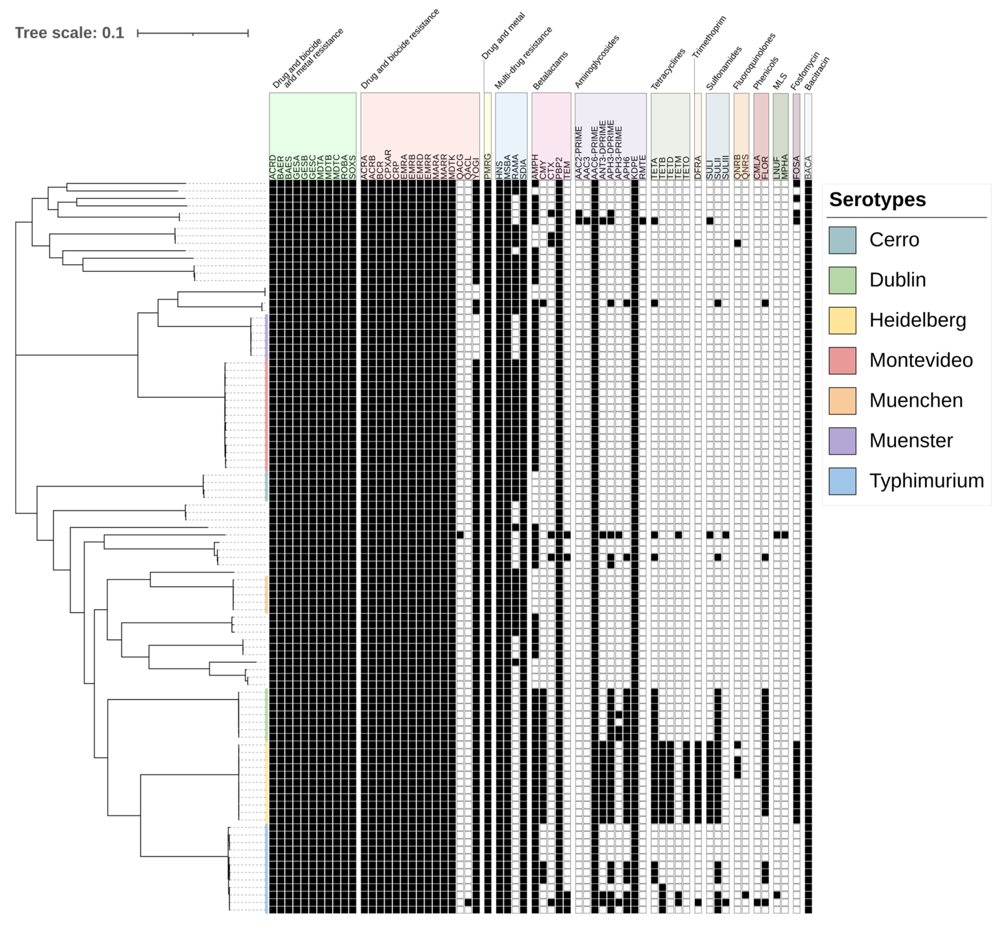 Antibiotics 13 00843 g001