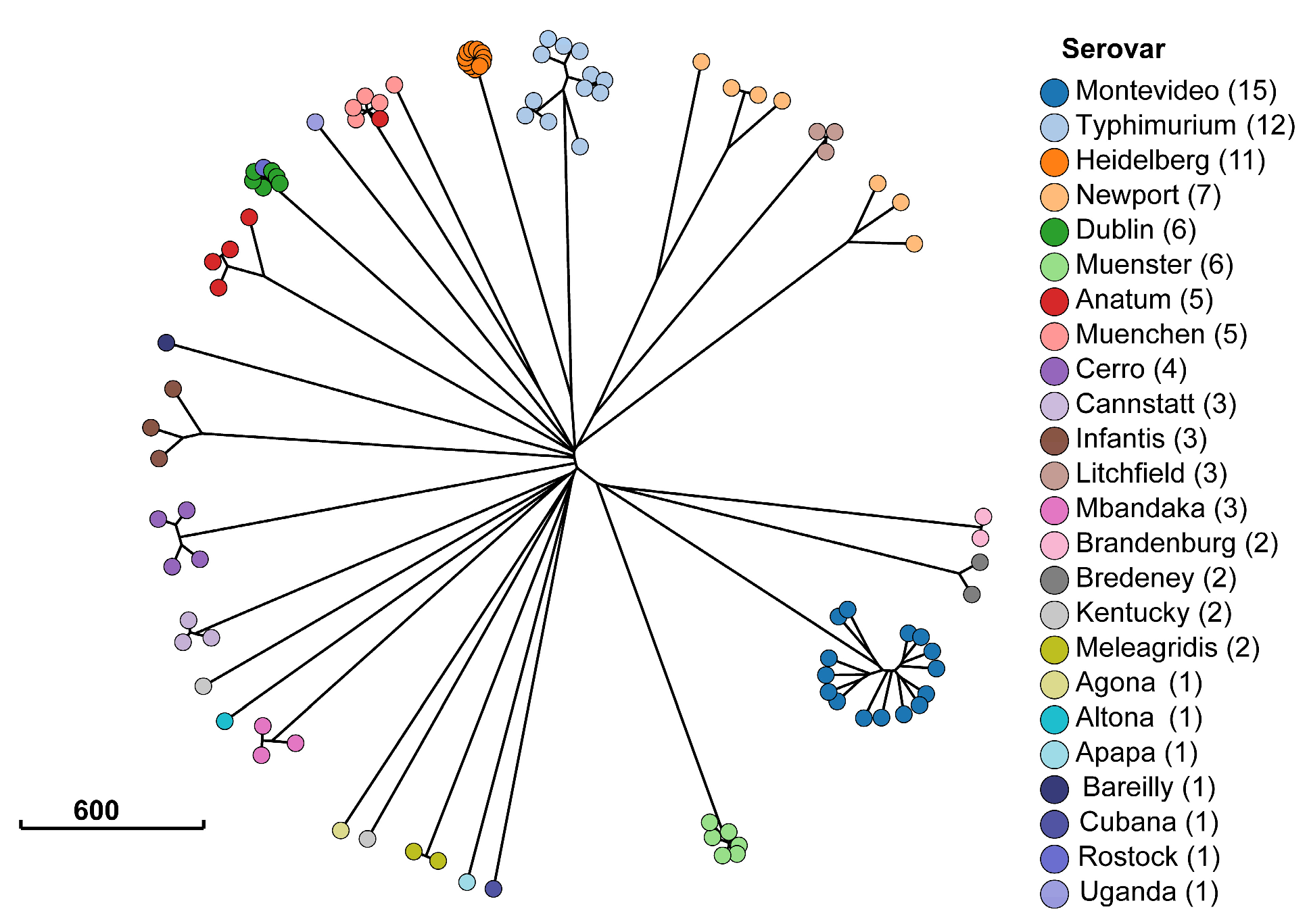 Antibiotics 13 00843 g002