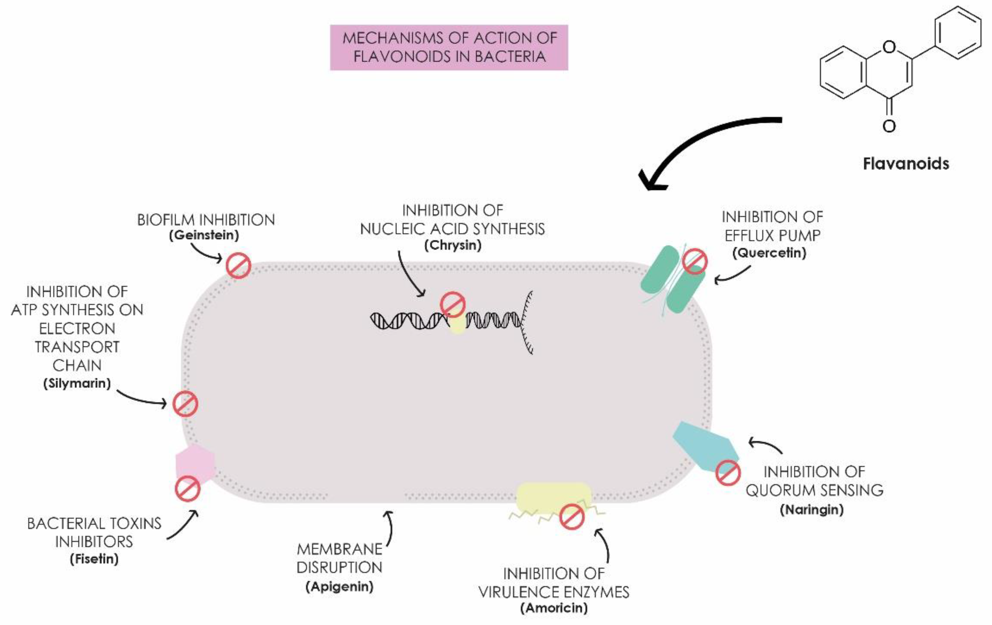Antibiotics 13 00844 g001