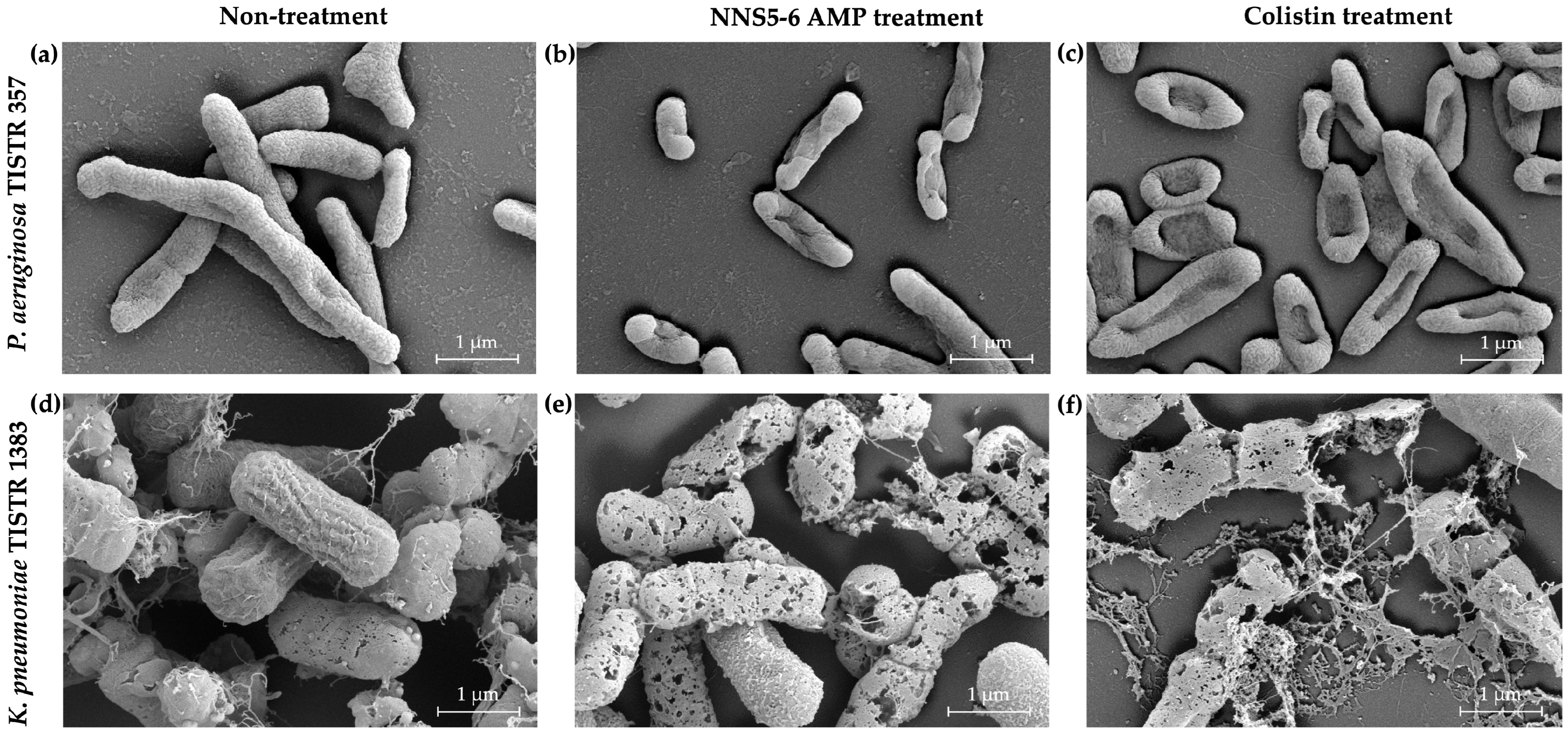 Antibiotics 13 00846 g003