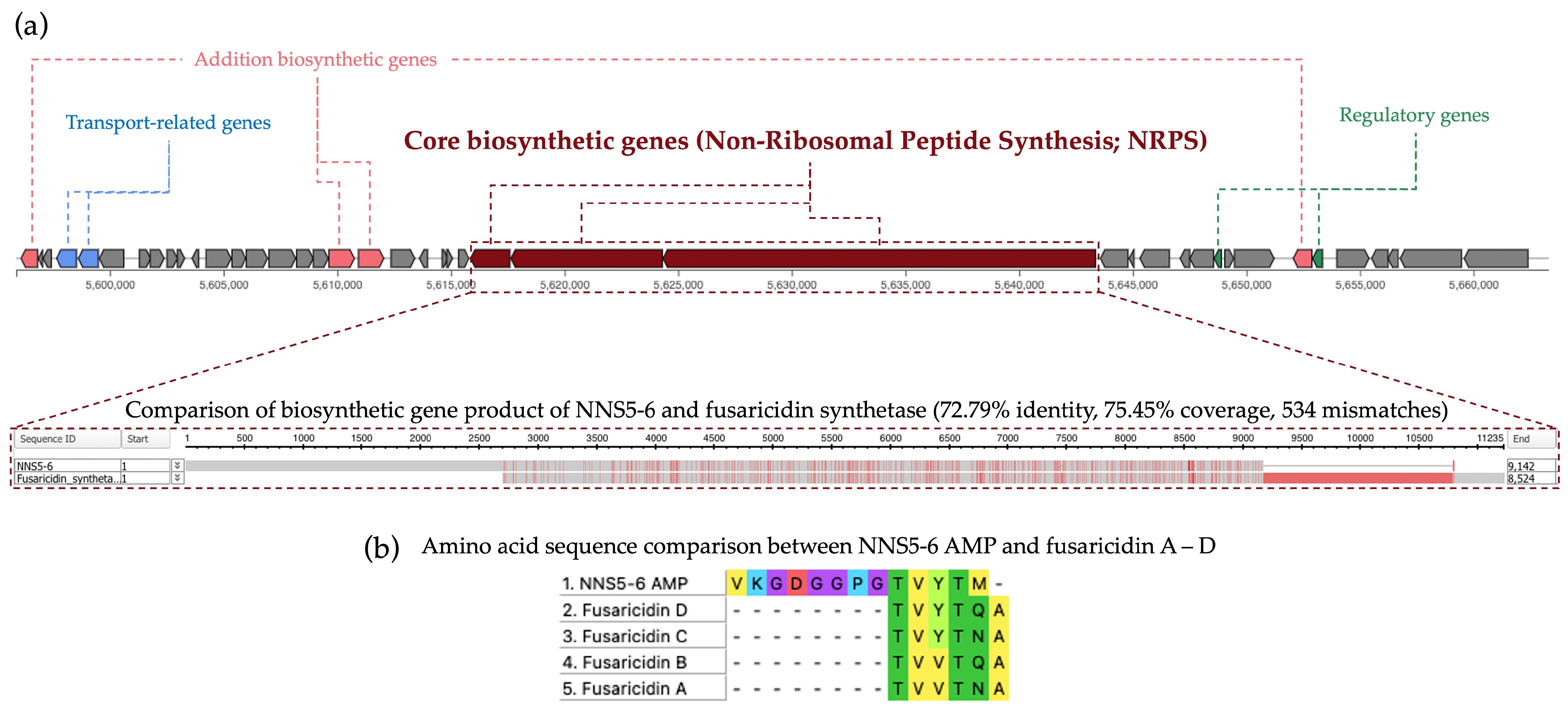 Antibiotics 13 00846 g008
