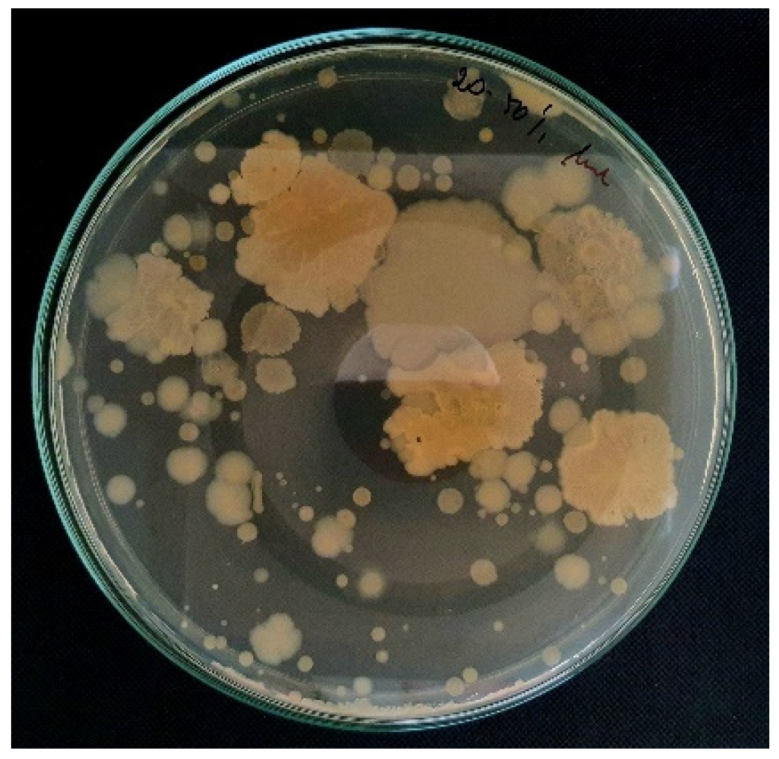 Antibiotics 13 00855 g002