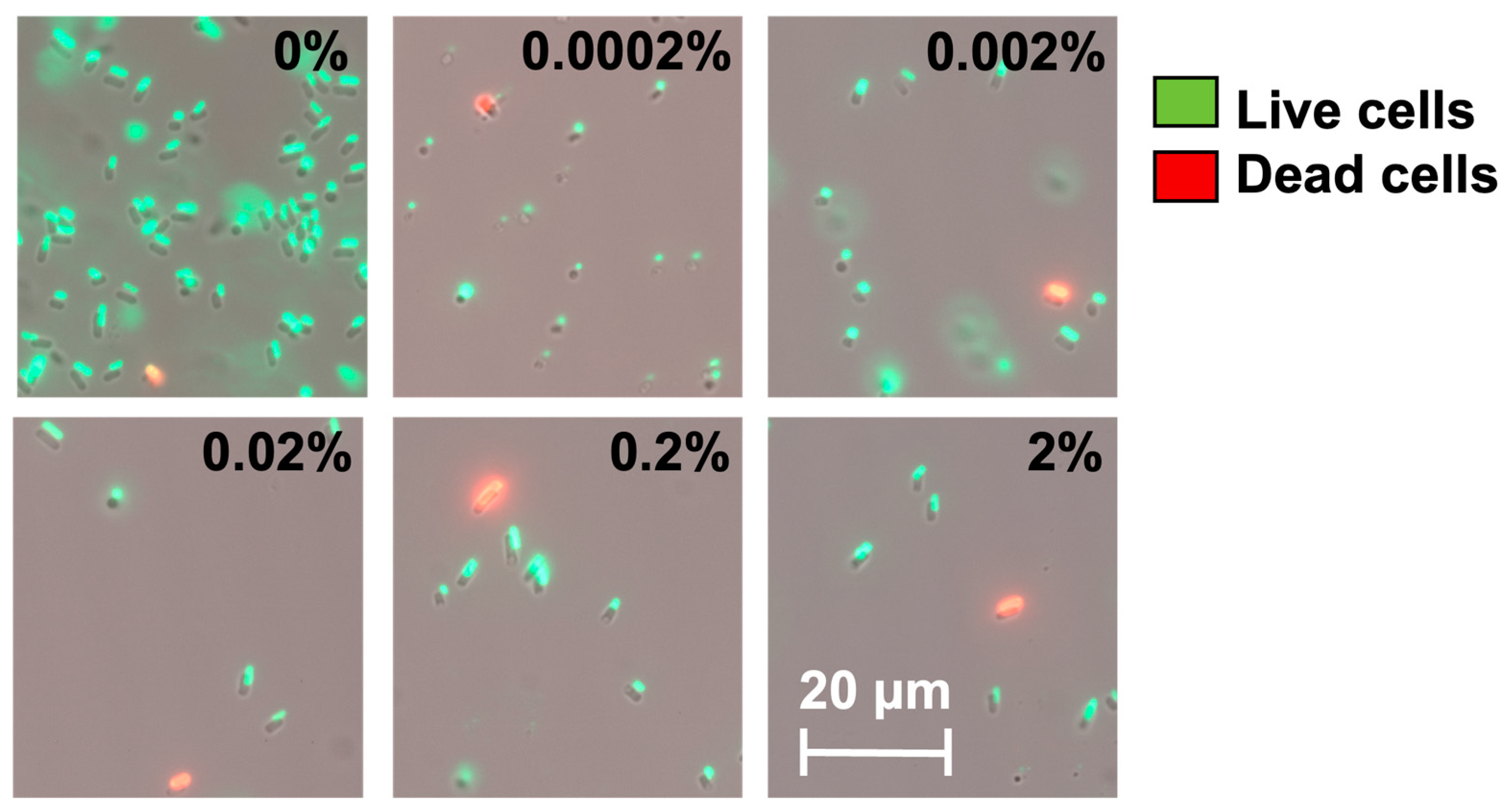 Antibiotics 13 00863 g004