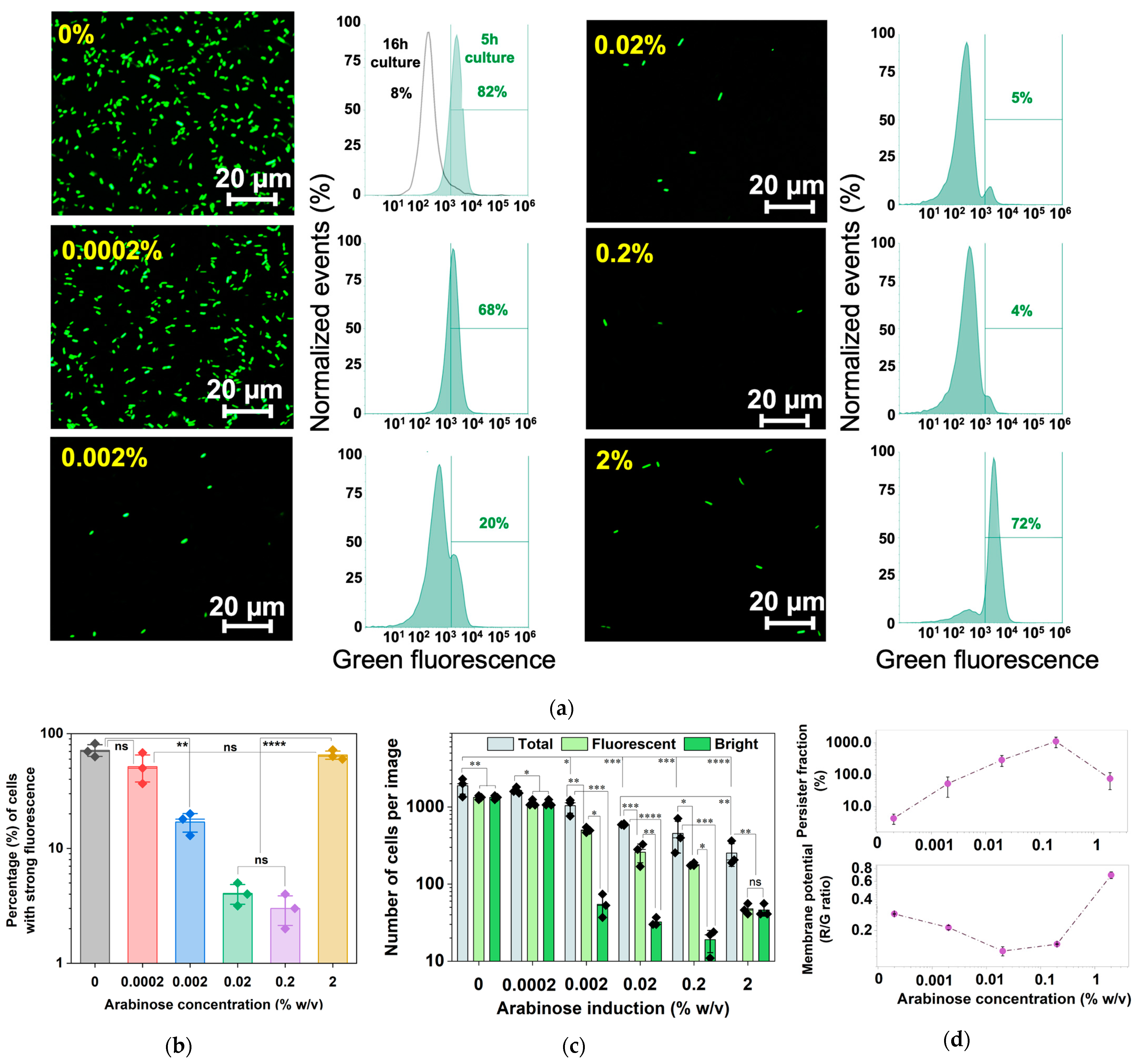 Antibiotics 13 00863 g008