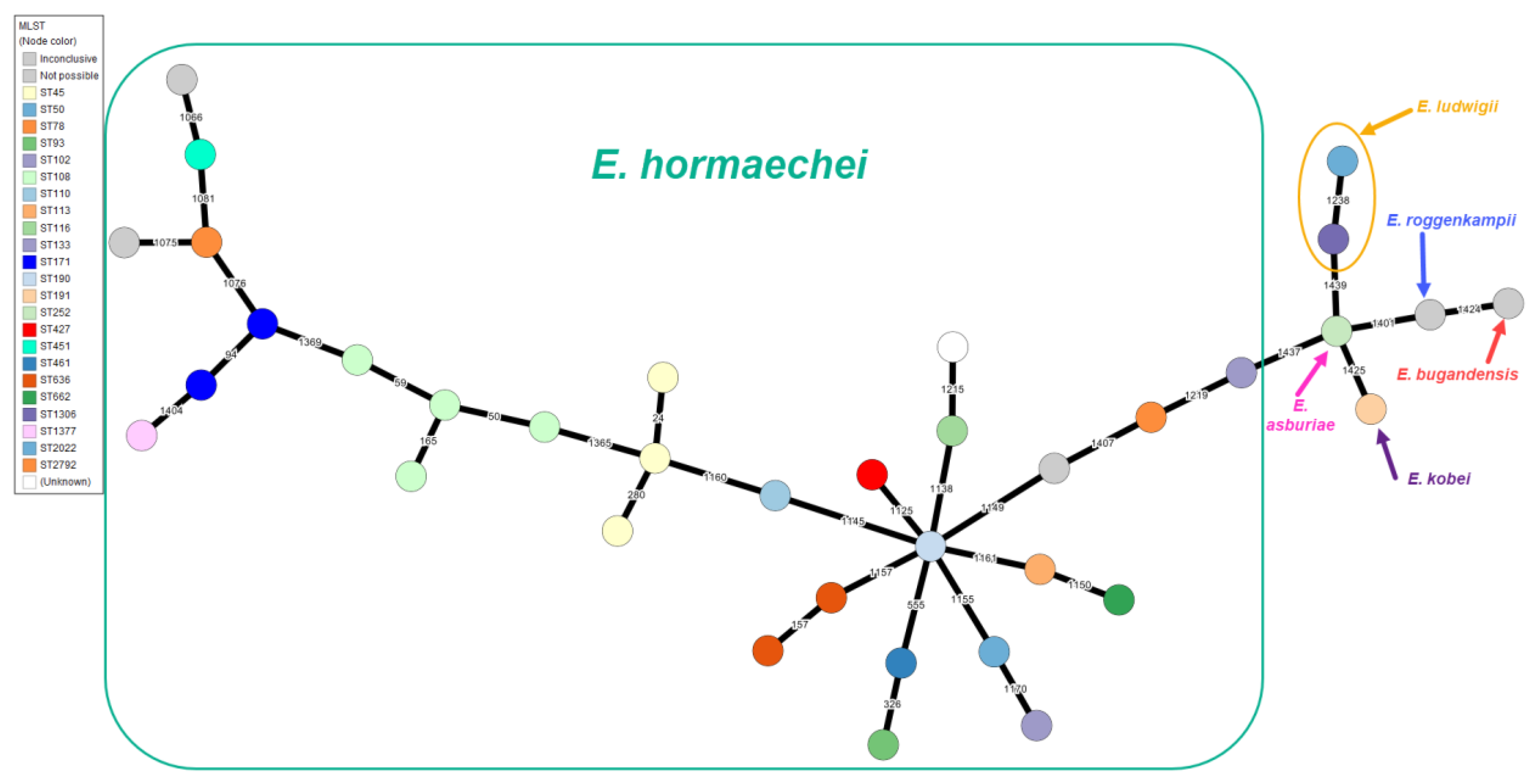 Antibiotics 13 00865 g001