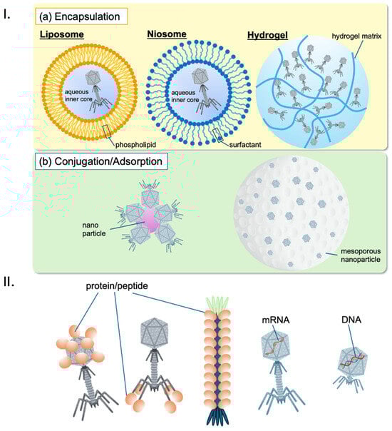 Antibiotics 13 00870 g004