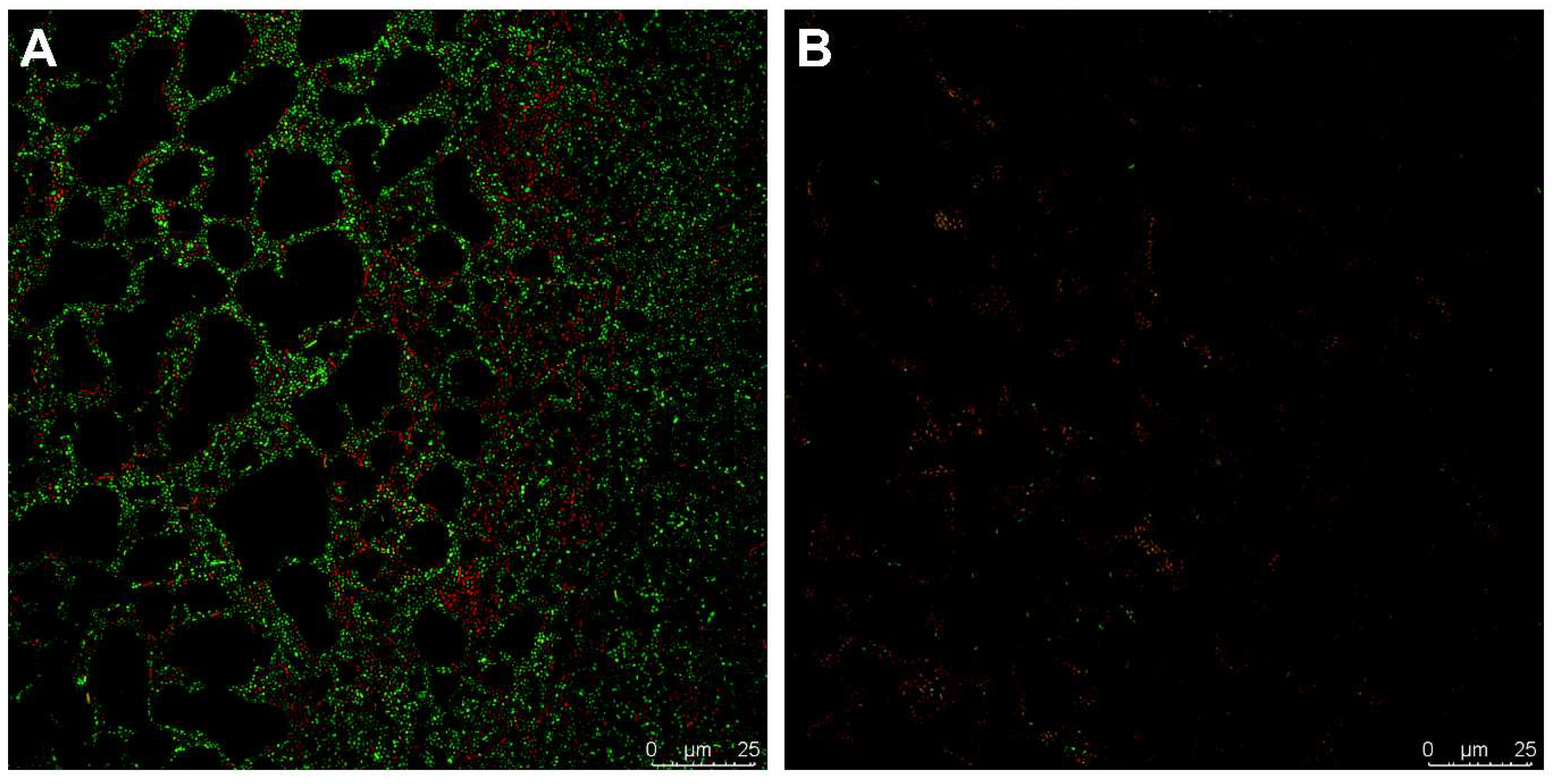 Antibiotics 13 00875 g006