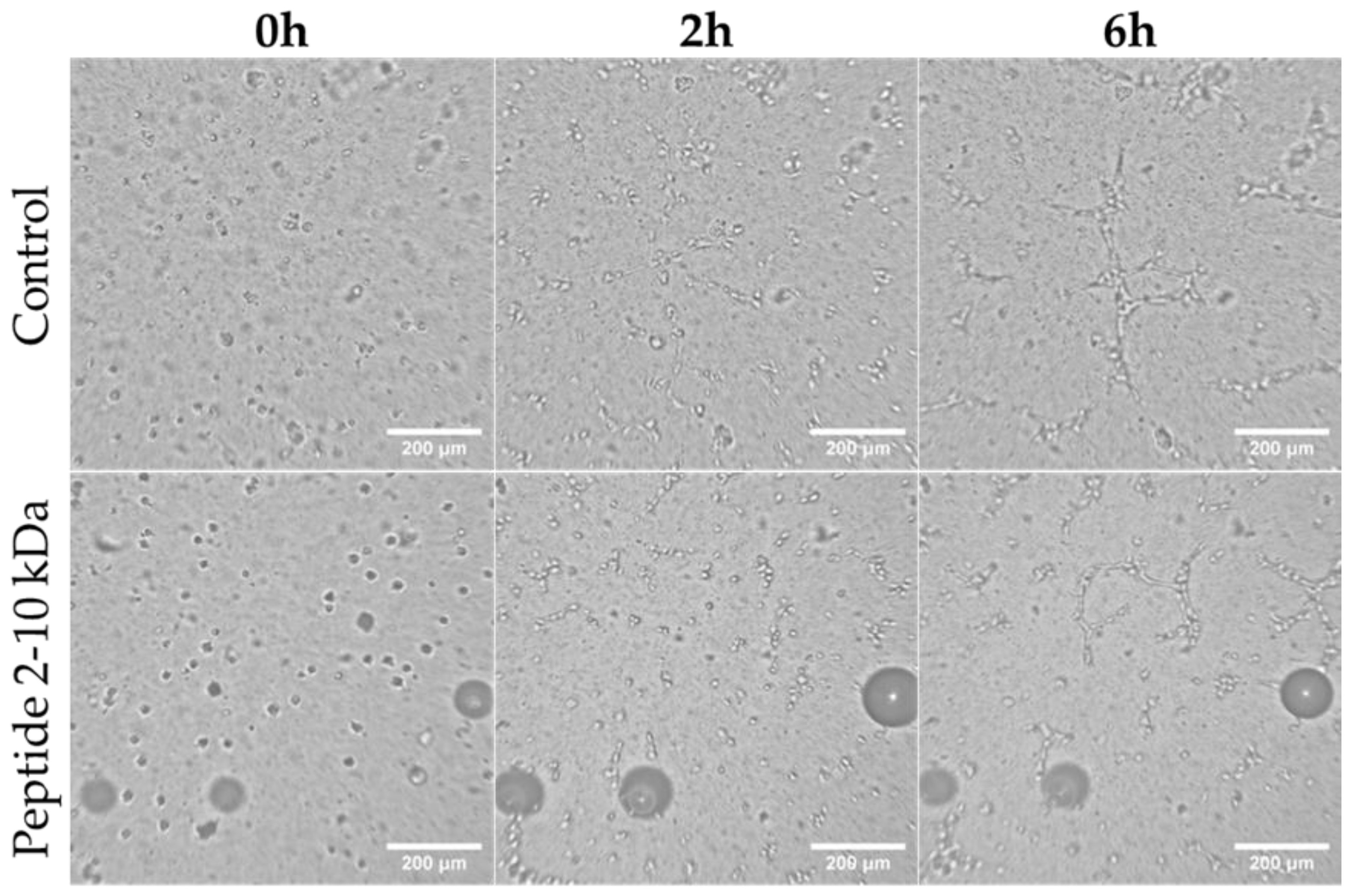 Antibiotics 13 00881 g005