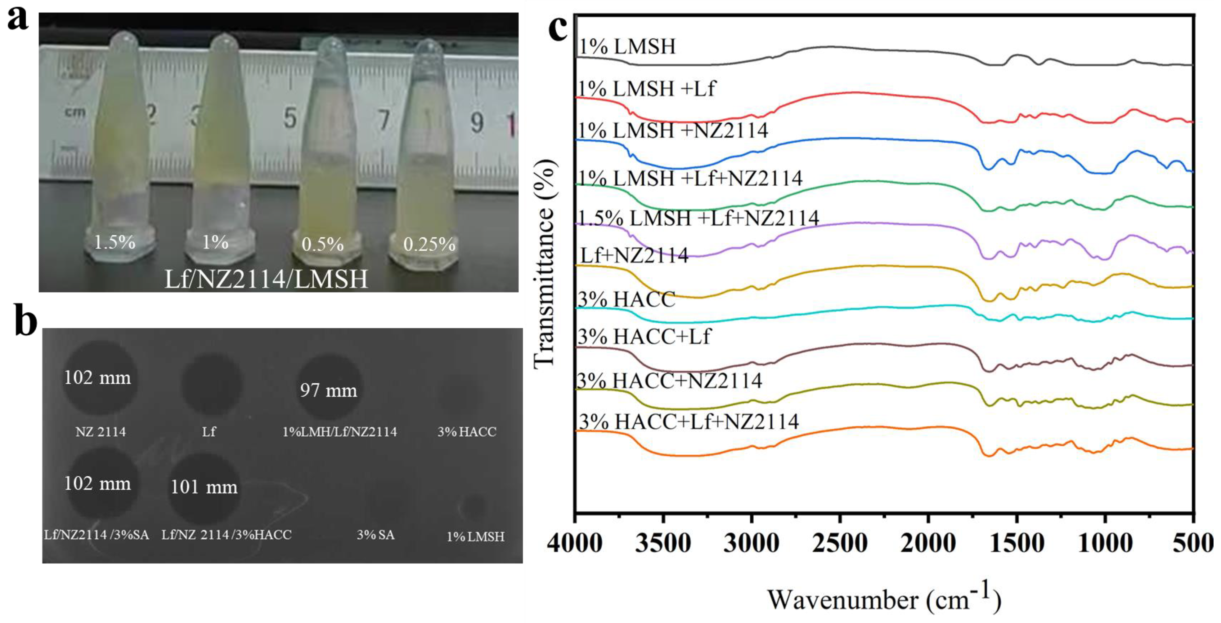 Antibiotics 13 00889 g001