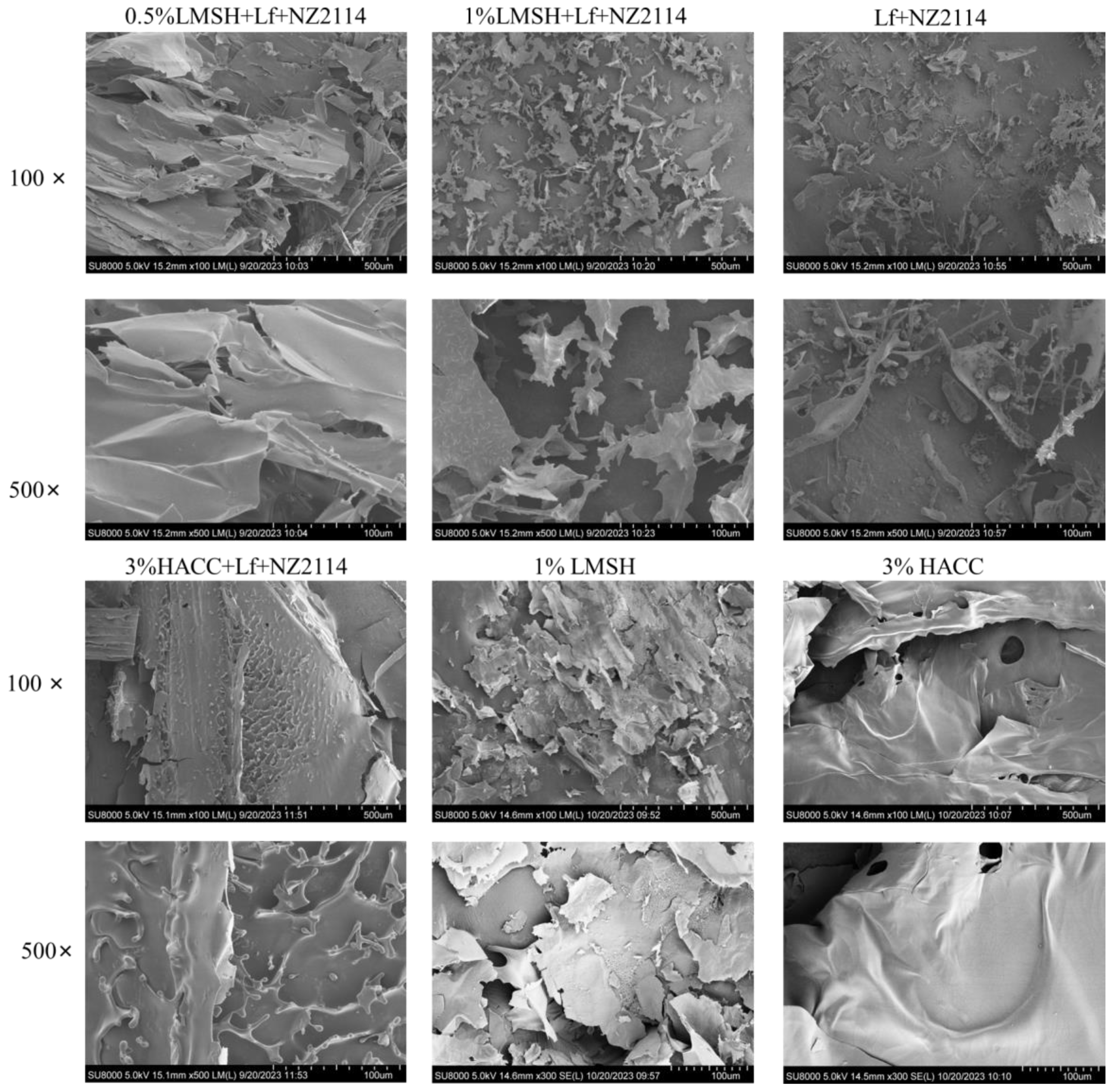 Antibiotics 13 00889 g002