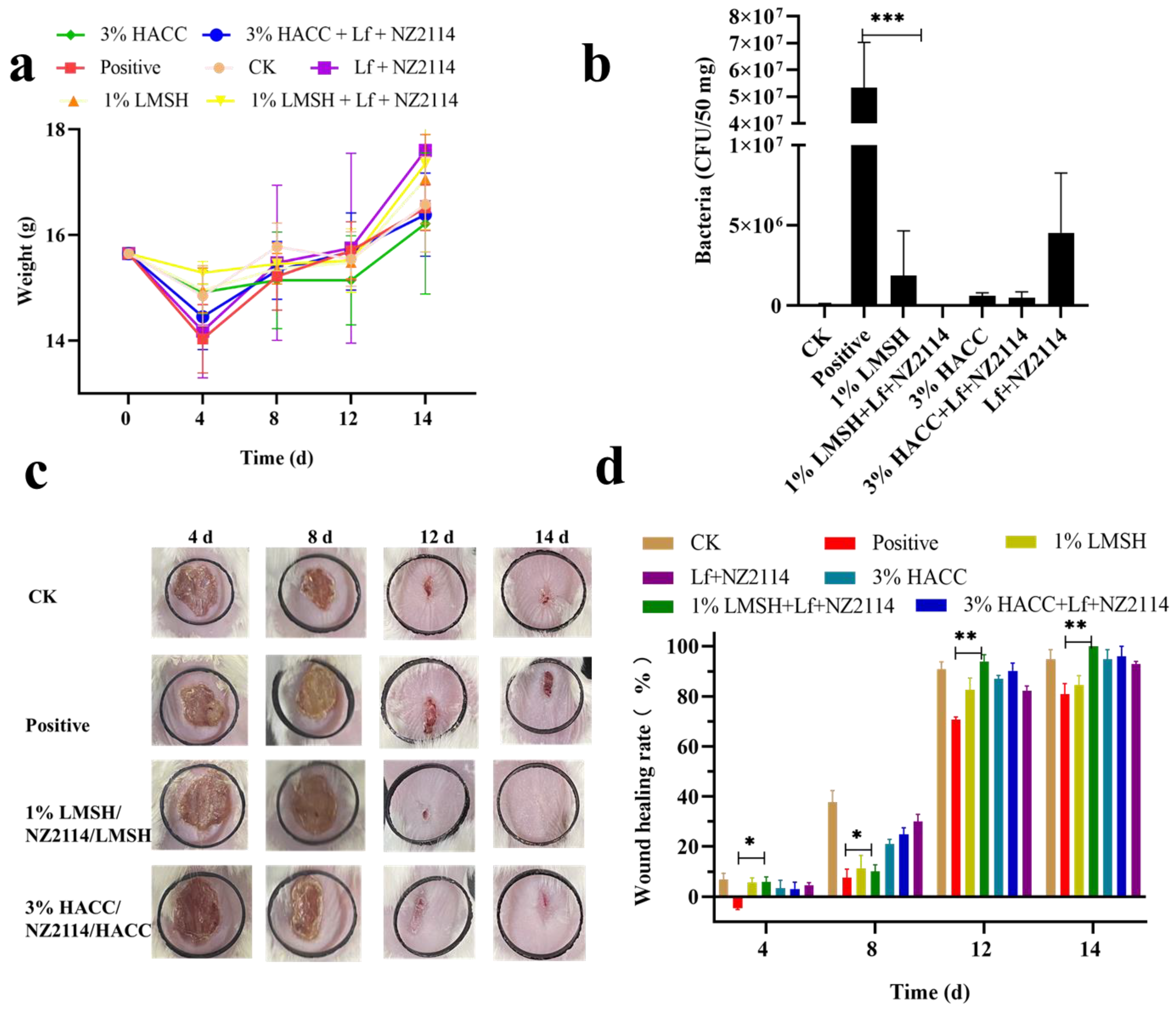 Antibiotics 13 00889 g005