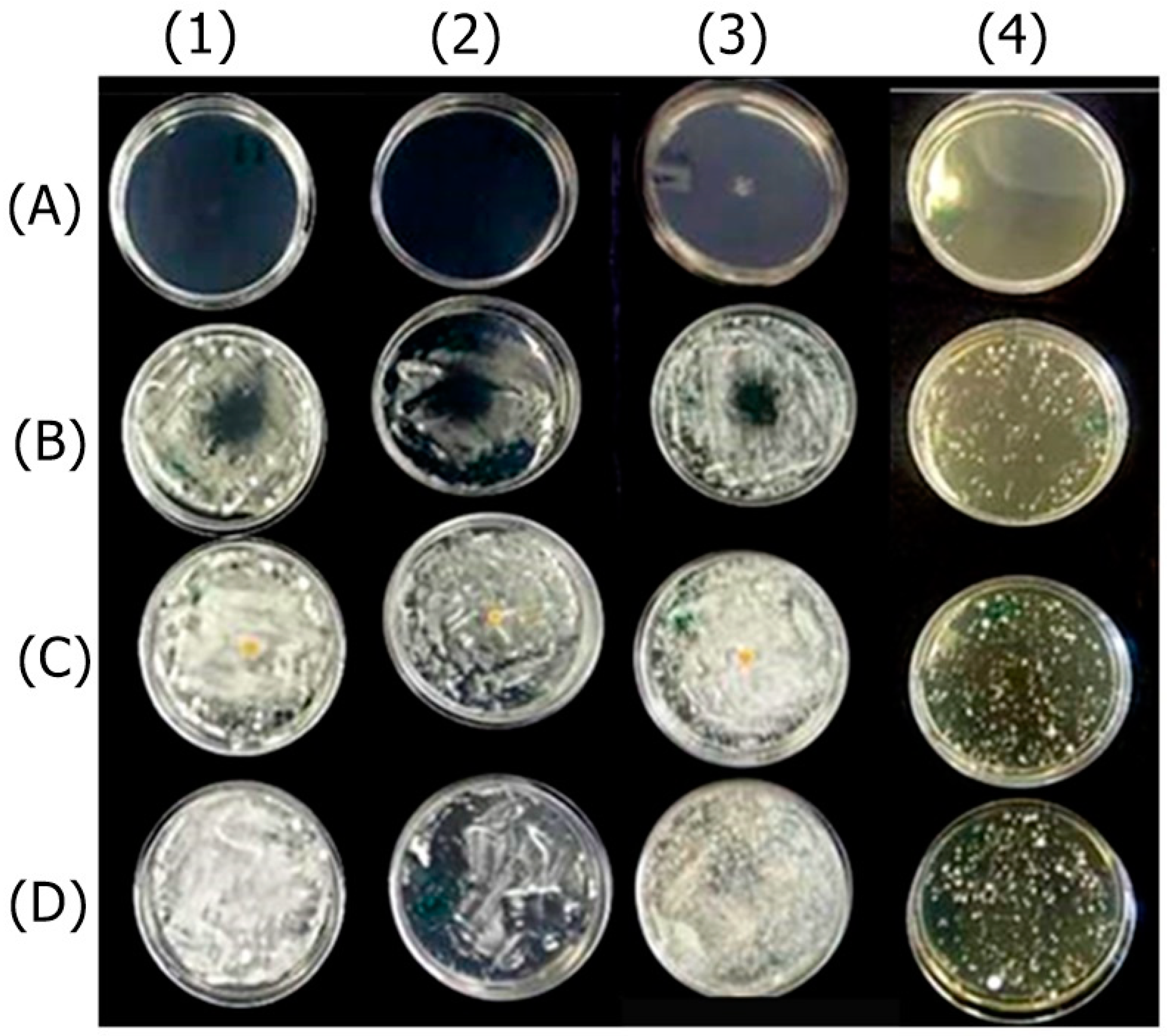Antibiotics 13 00892 g001