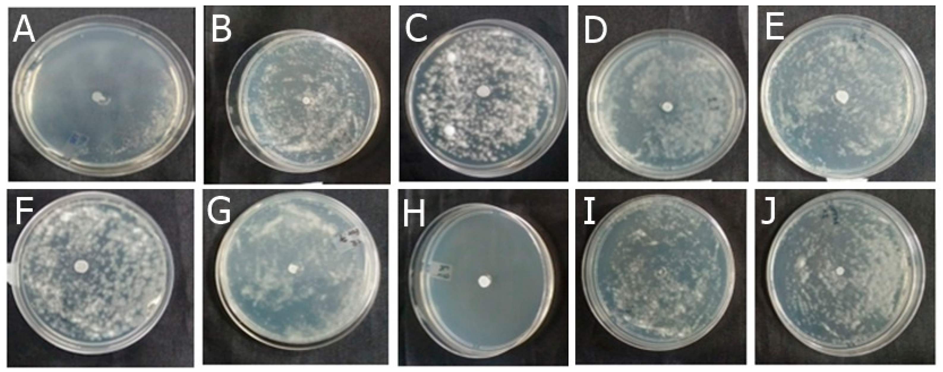 Antibiotics 13 00892 g003