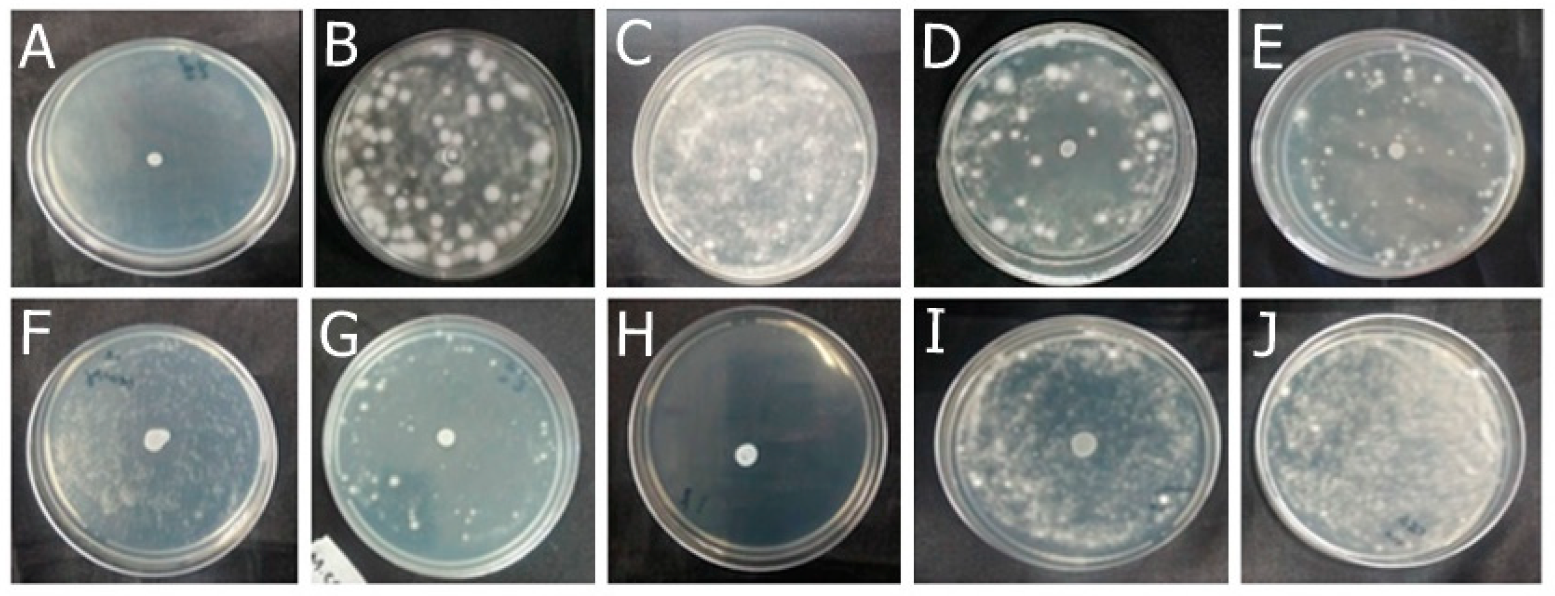 Antibiotics 13 00892 g004