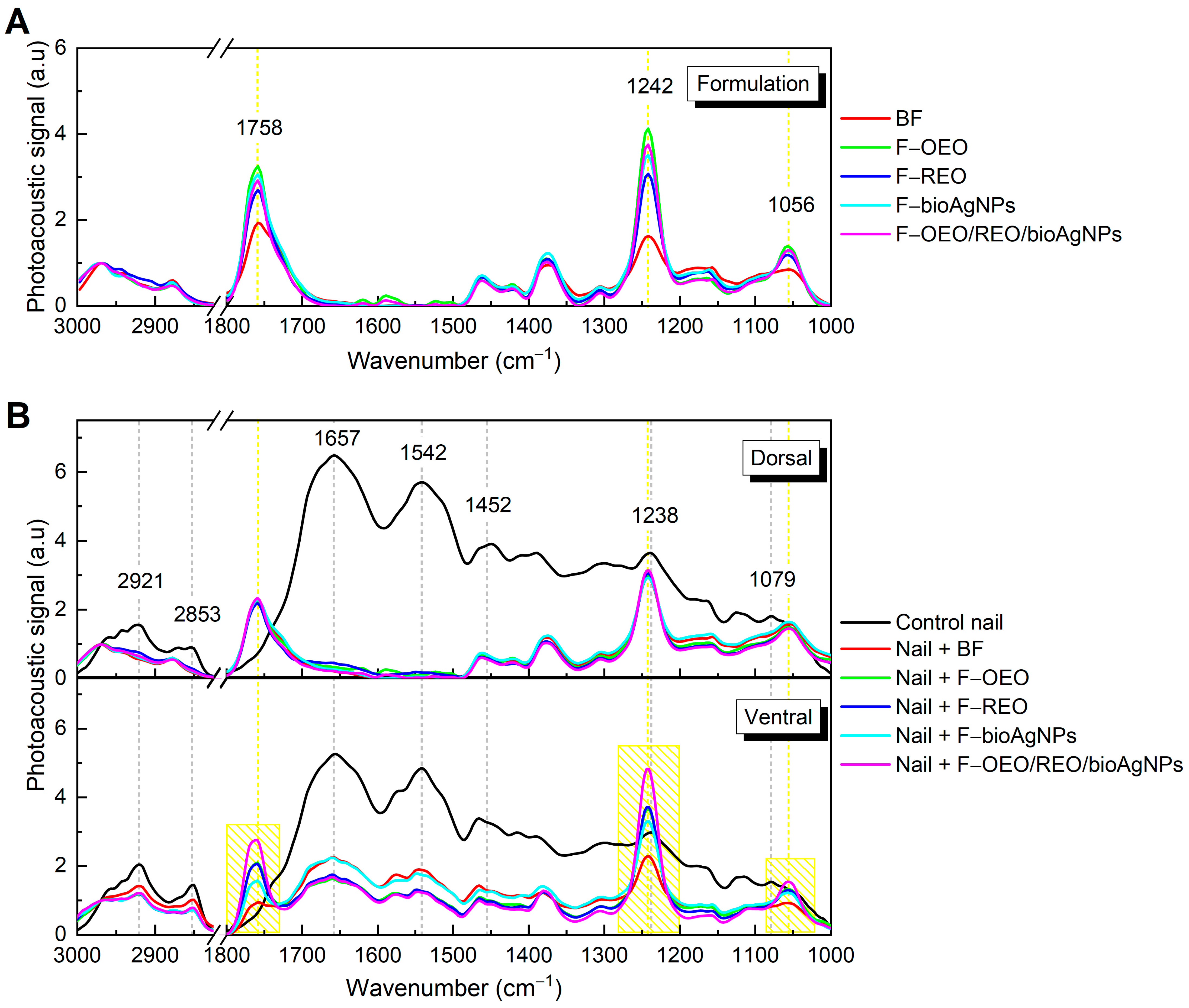Antibiotics 13 00892 g006