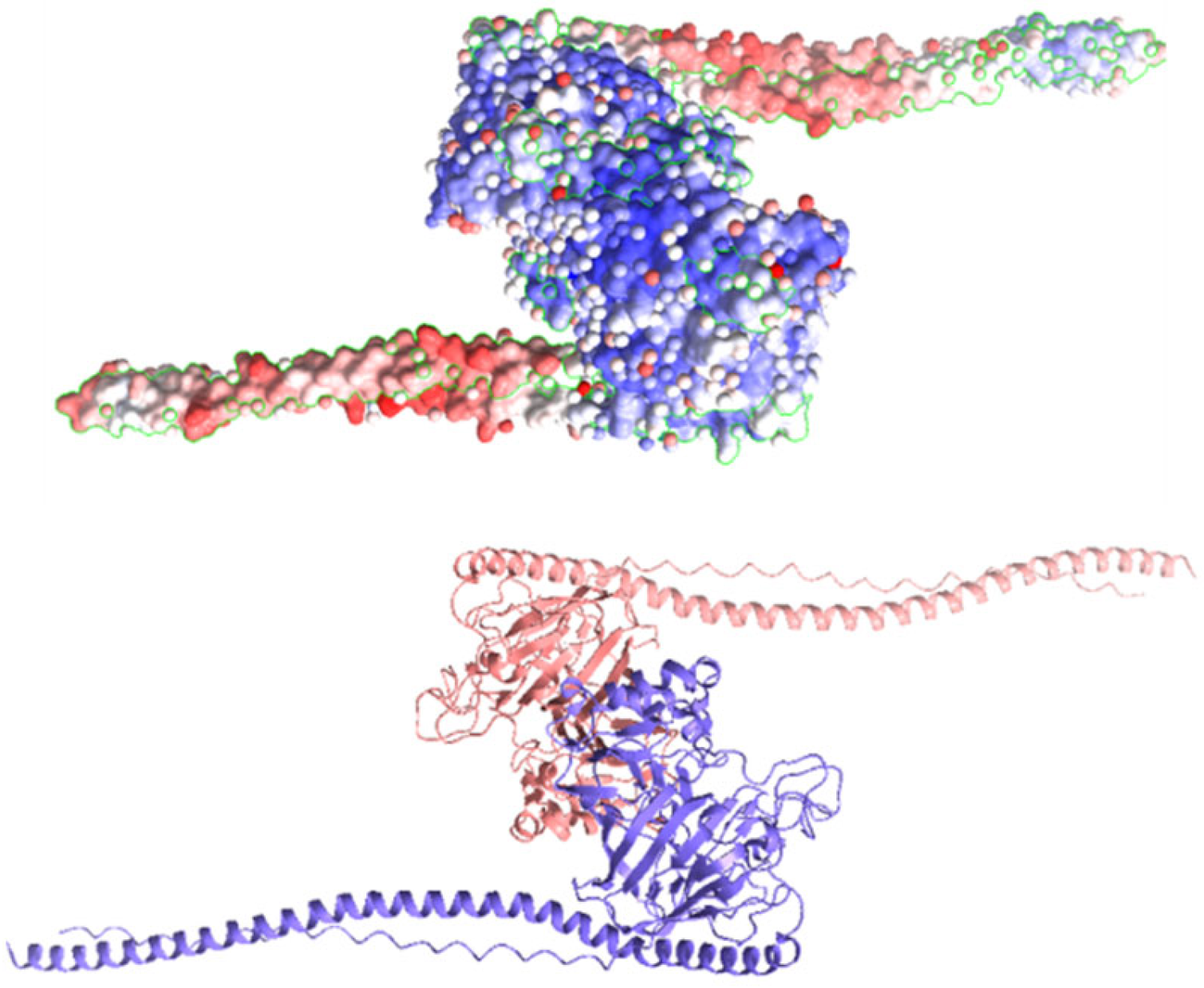 Antibiotics 13 00899 g002
