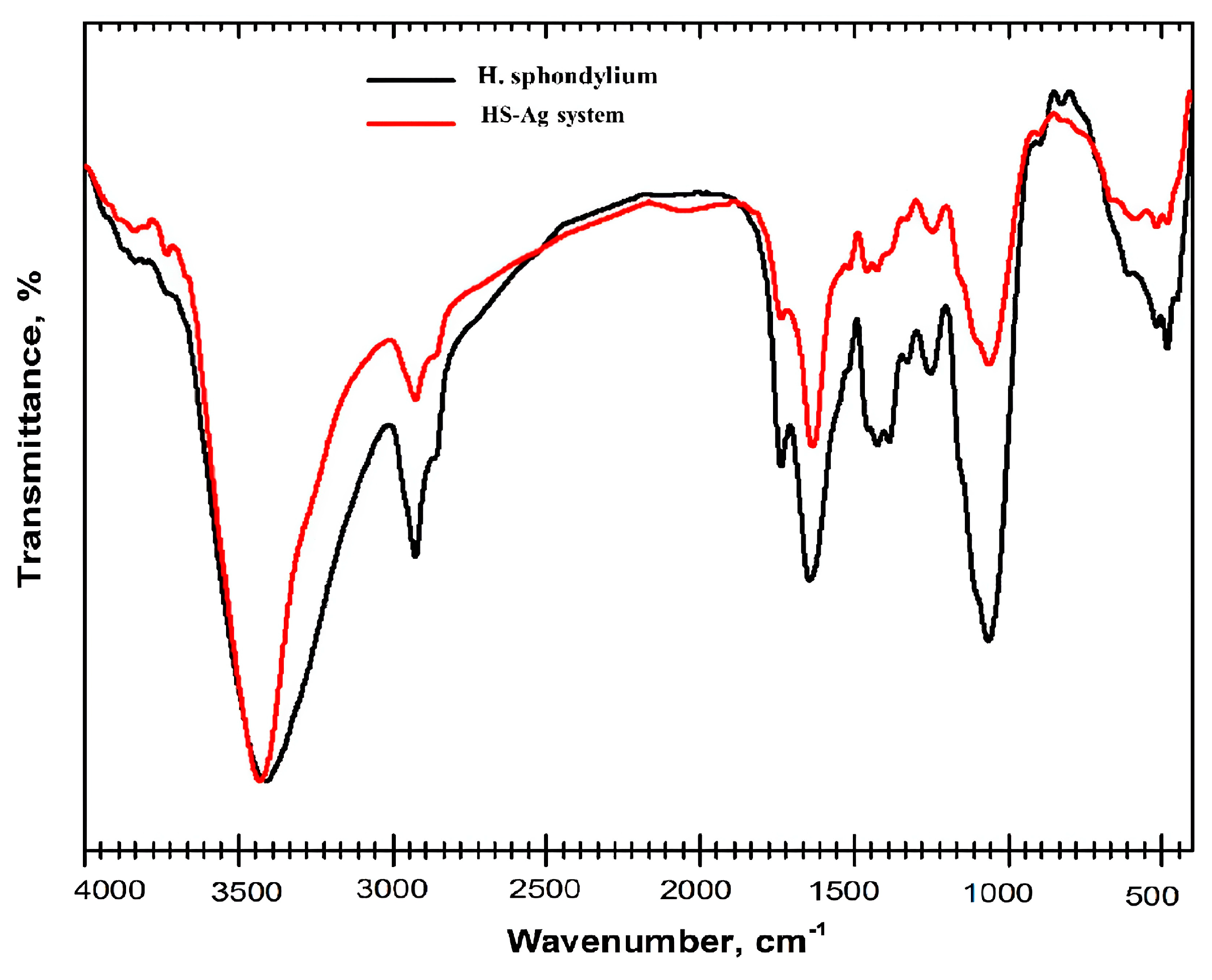 Antibiotics 13 00911 g005
