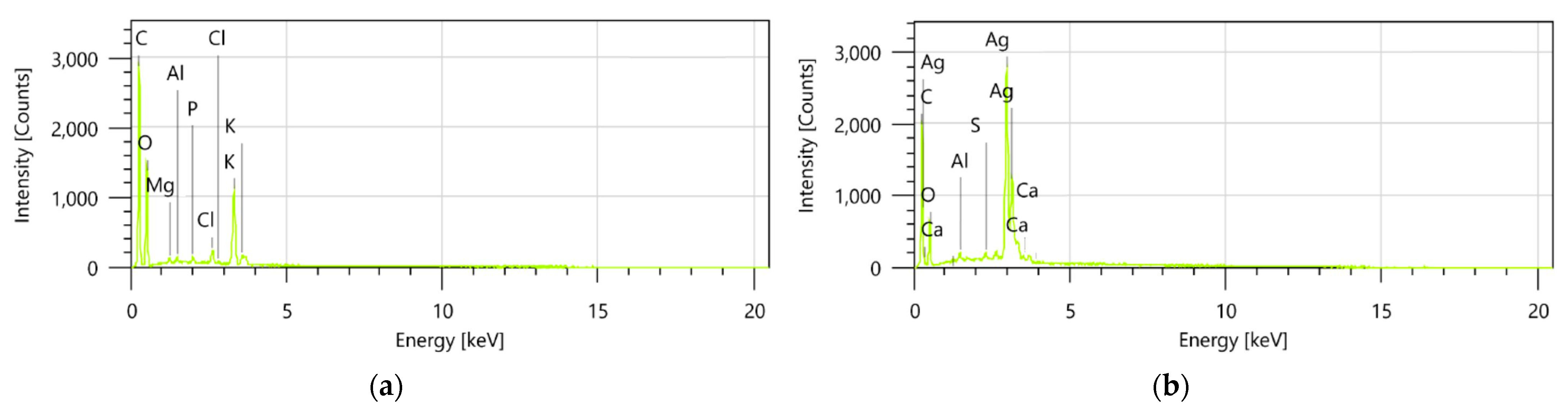 Antibiotics 13 00911 g008