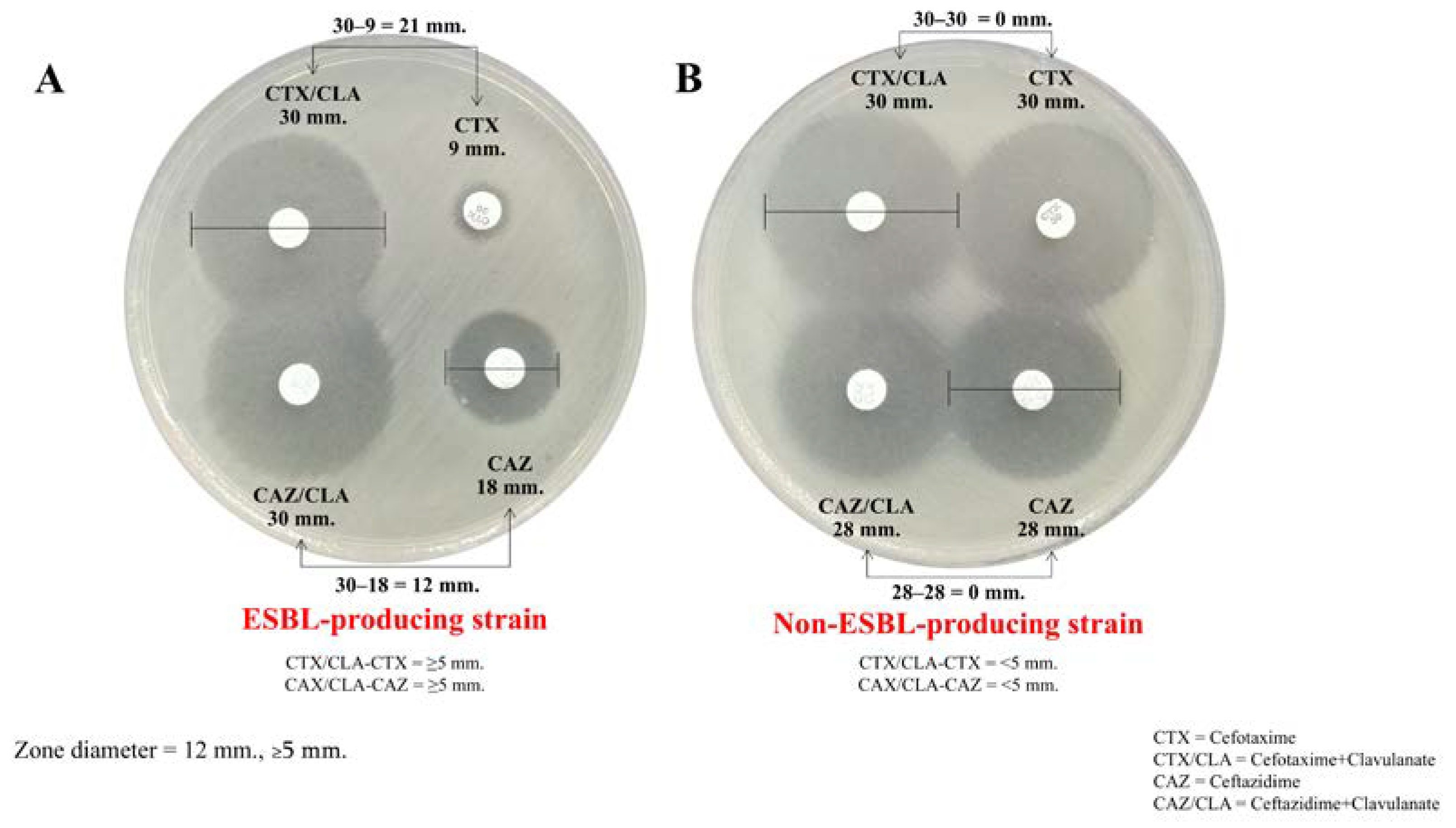 Antibiotics 13 00917 g001 Antibiotics 13 00917 g001