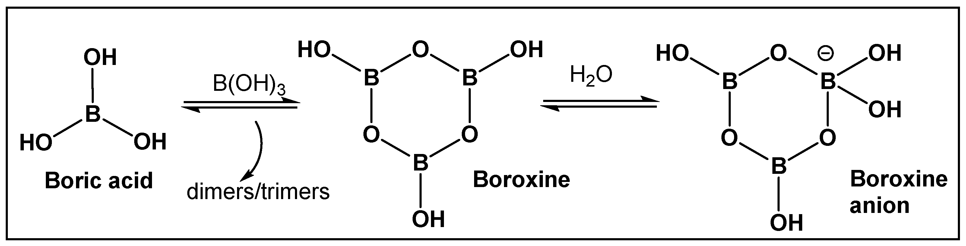 Antibiotics 13 00929 g002