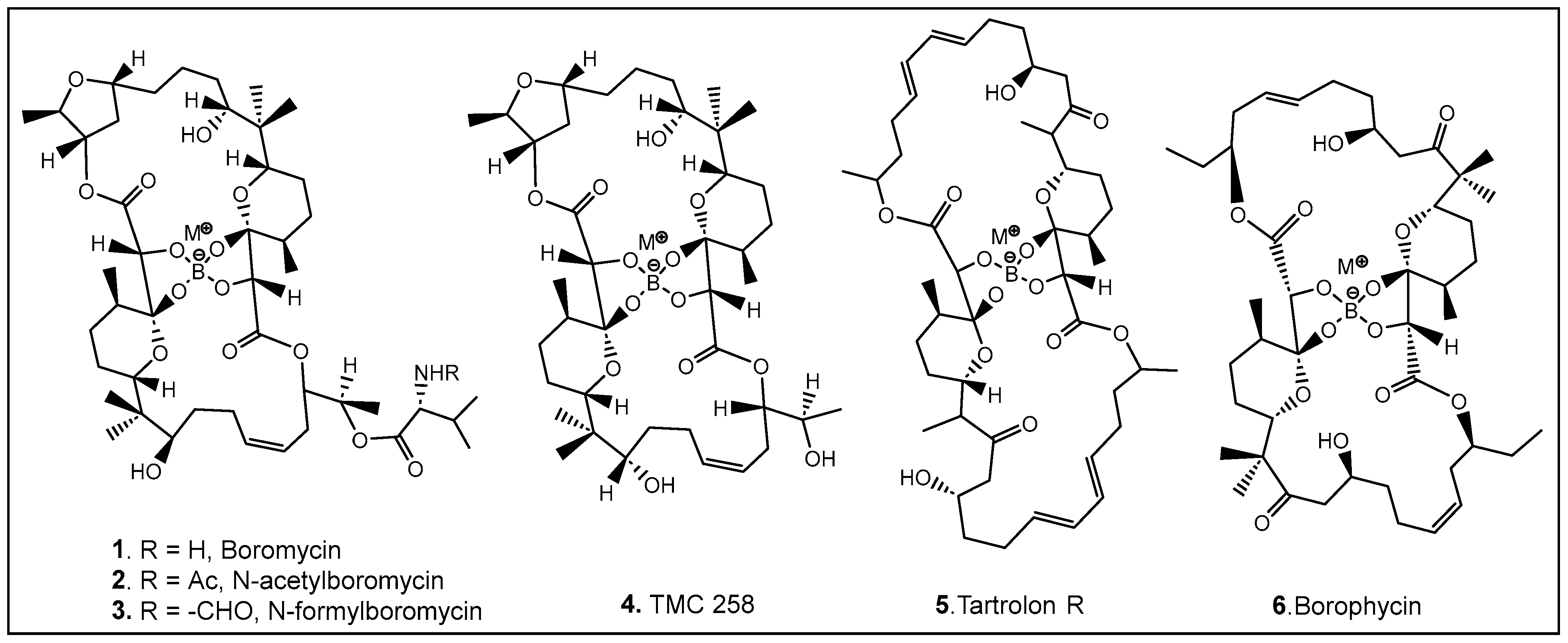 Antibiotics 13 00929 g003