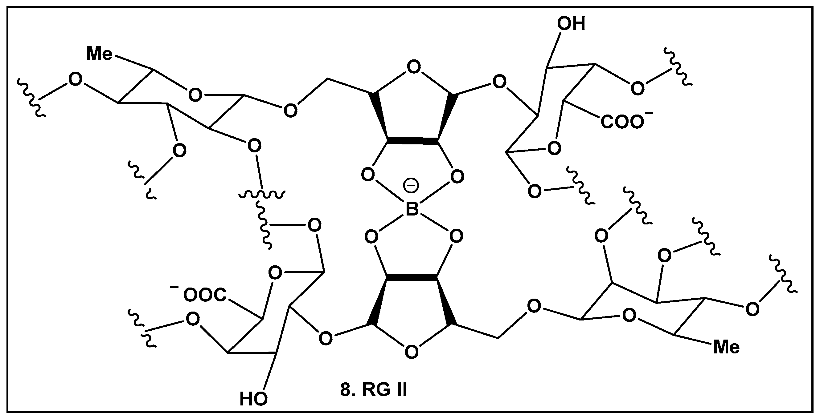 Antibiotics 13 00929 g005
