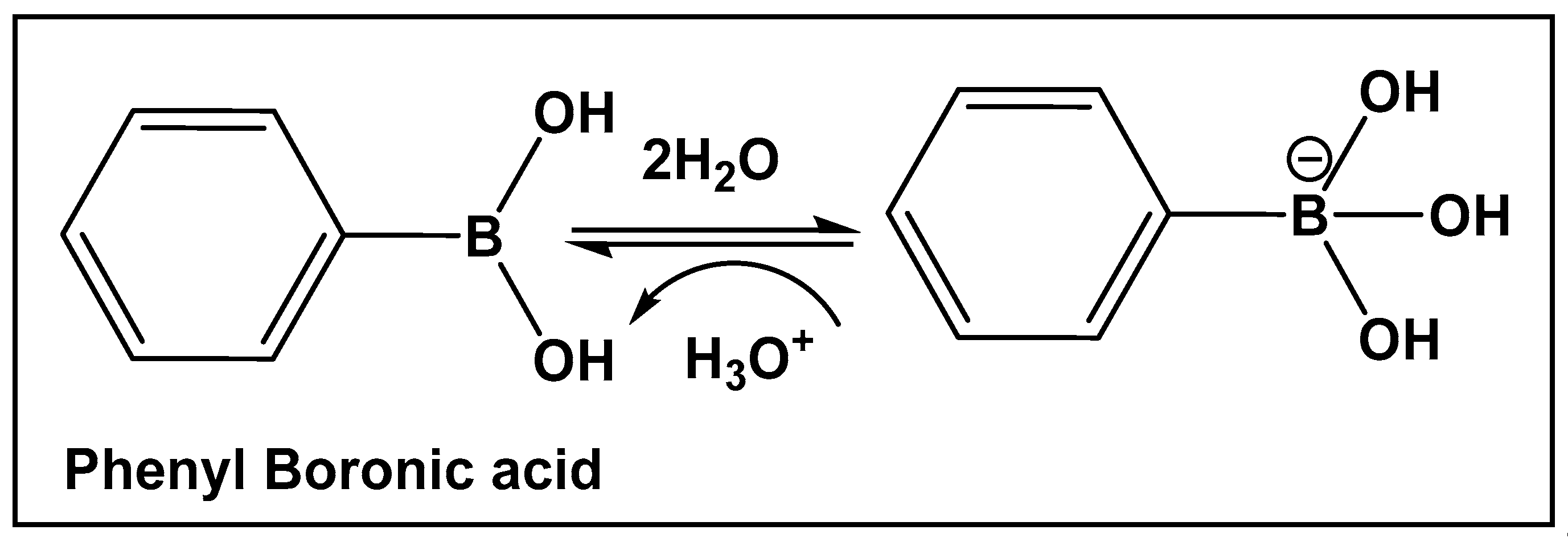 Antibiotics 13 00929 g006