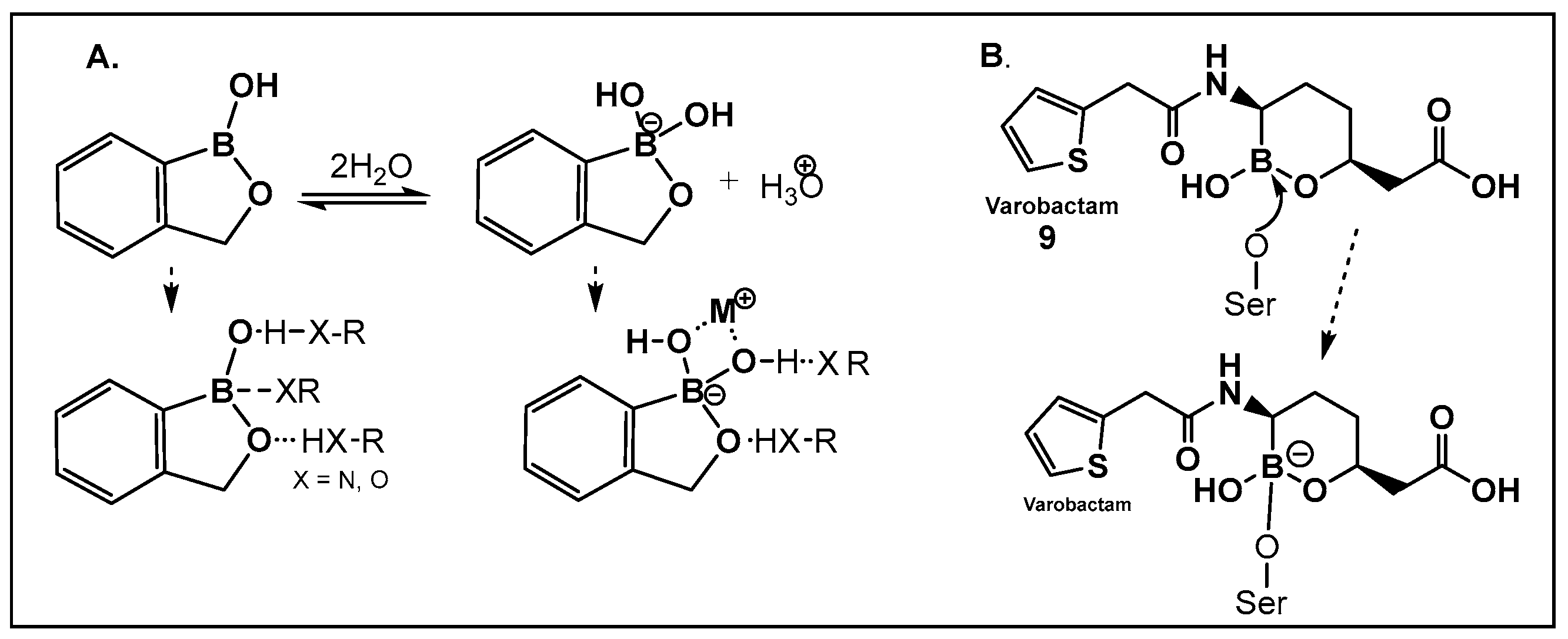 Antibiotics 13 00929 g007