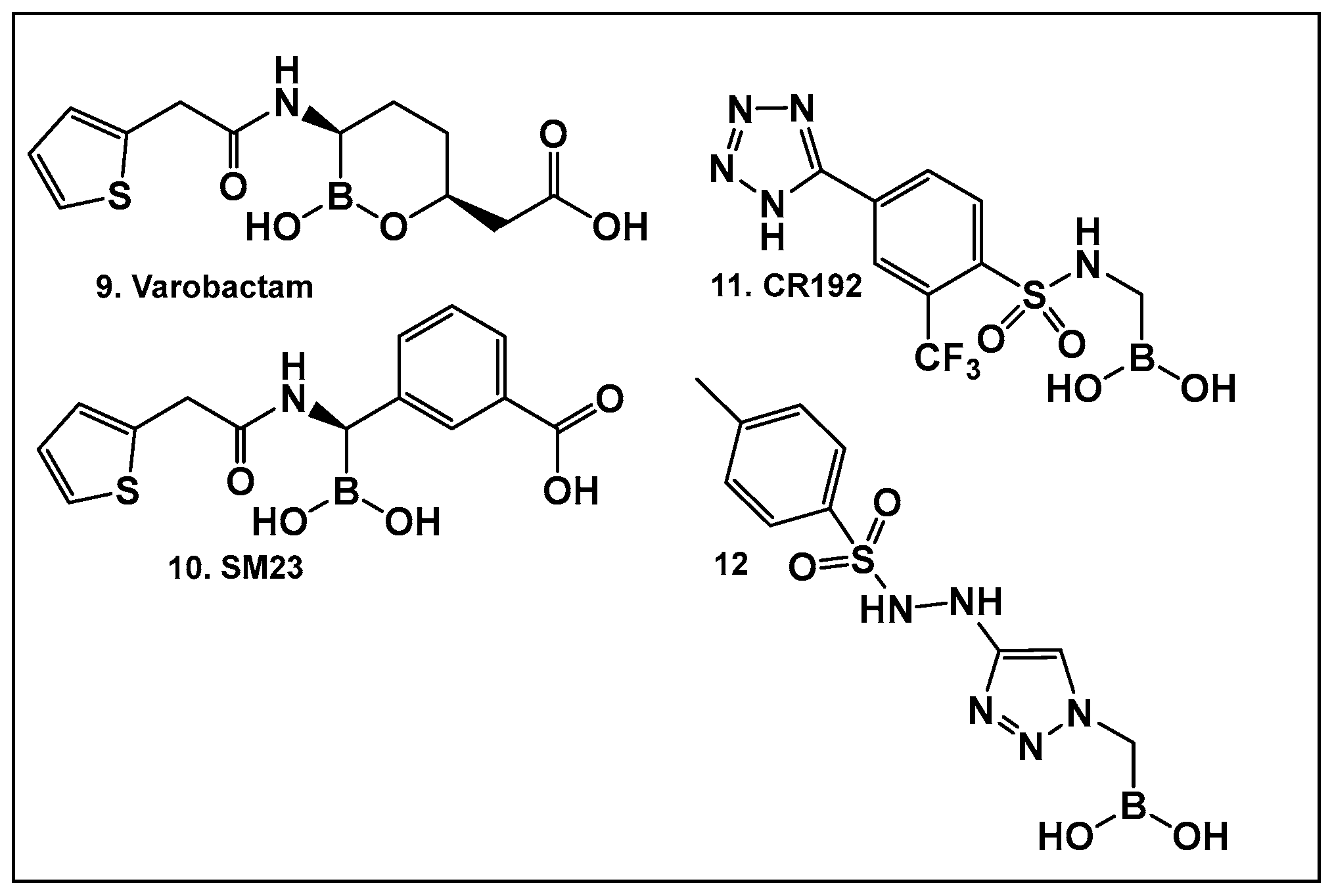Antibiotics 13 00929 g008