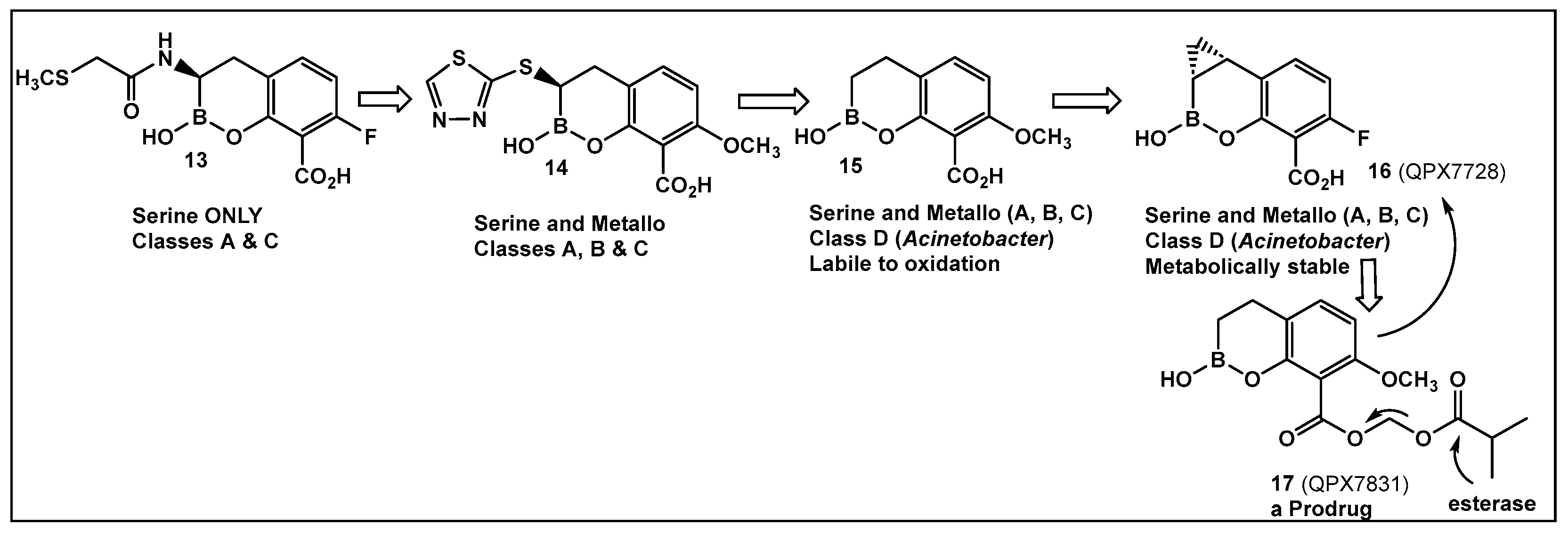 Antibiotics 13 00929 g009