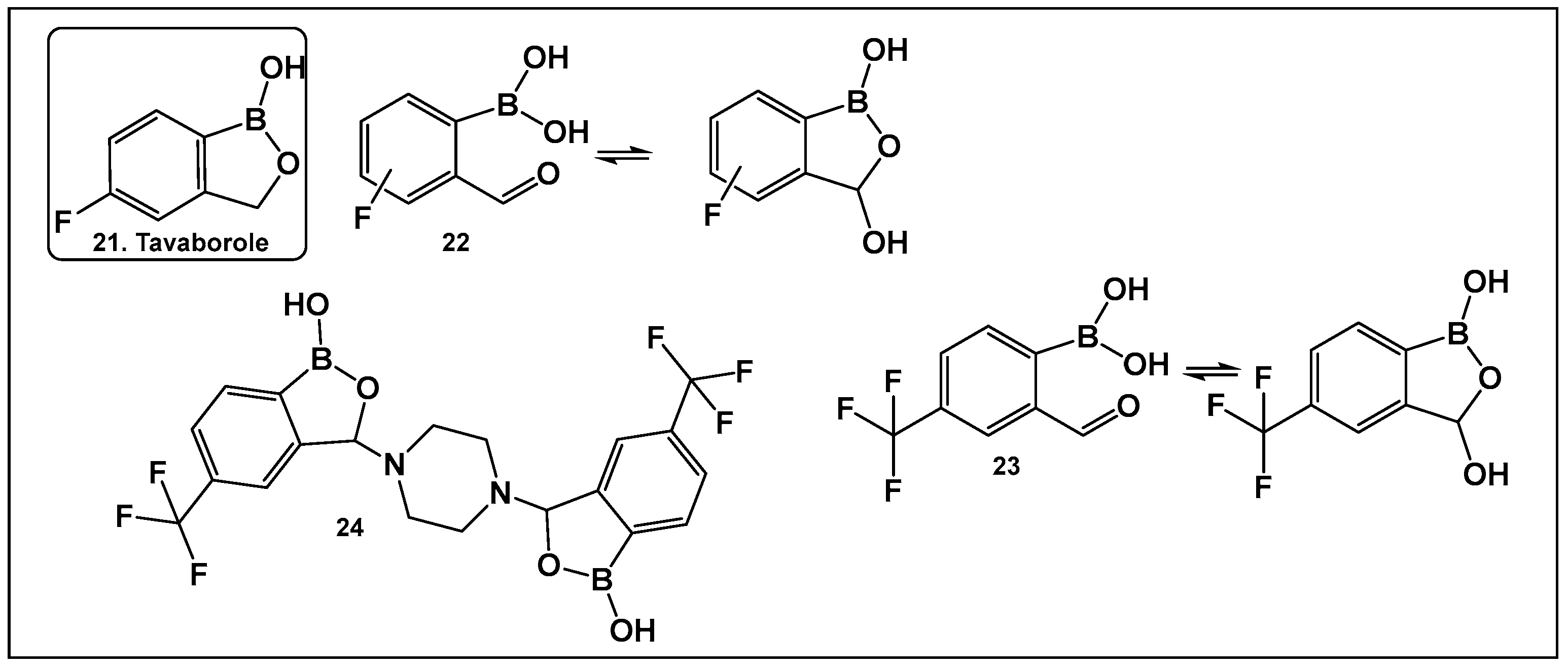 Antibiotics 13 00929 g012