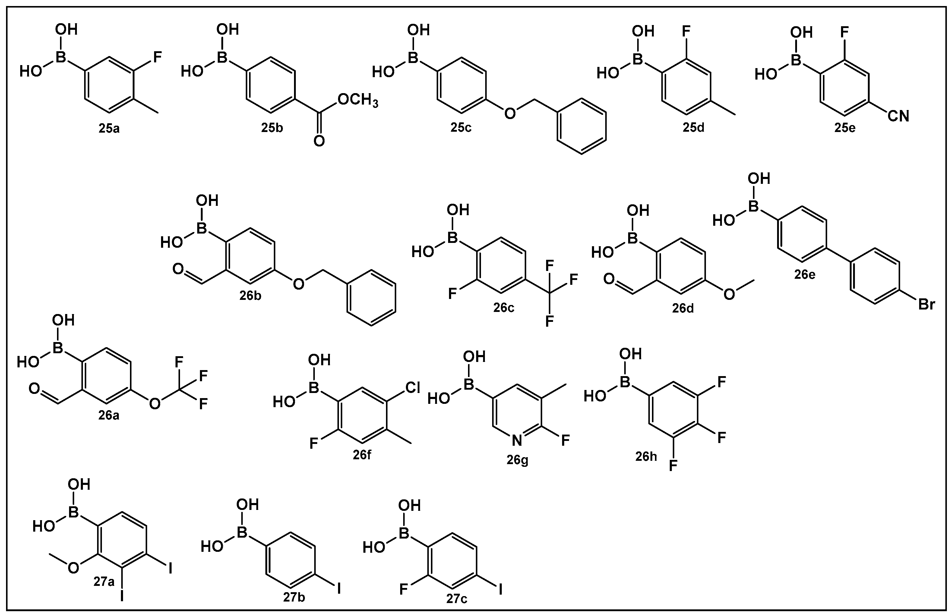 Antibiotics 13 00929 g013