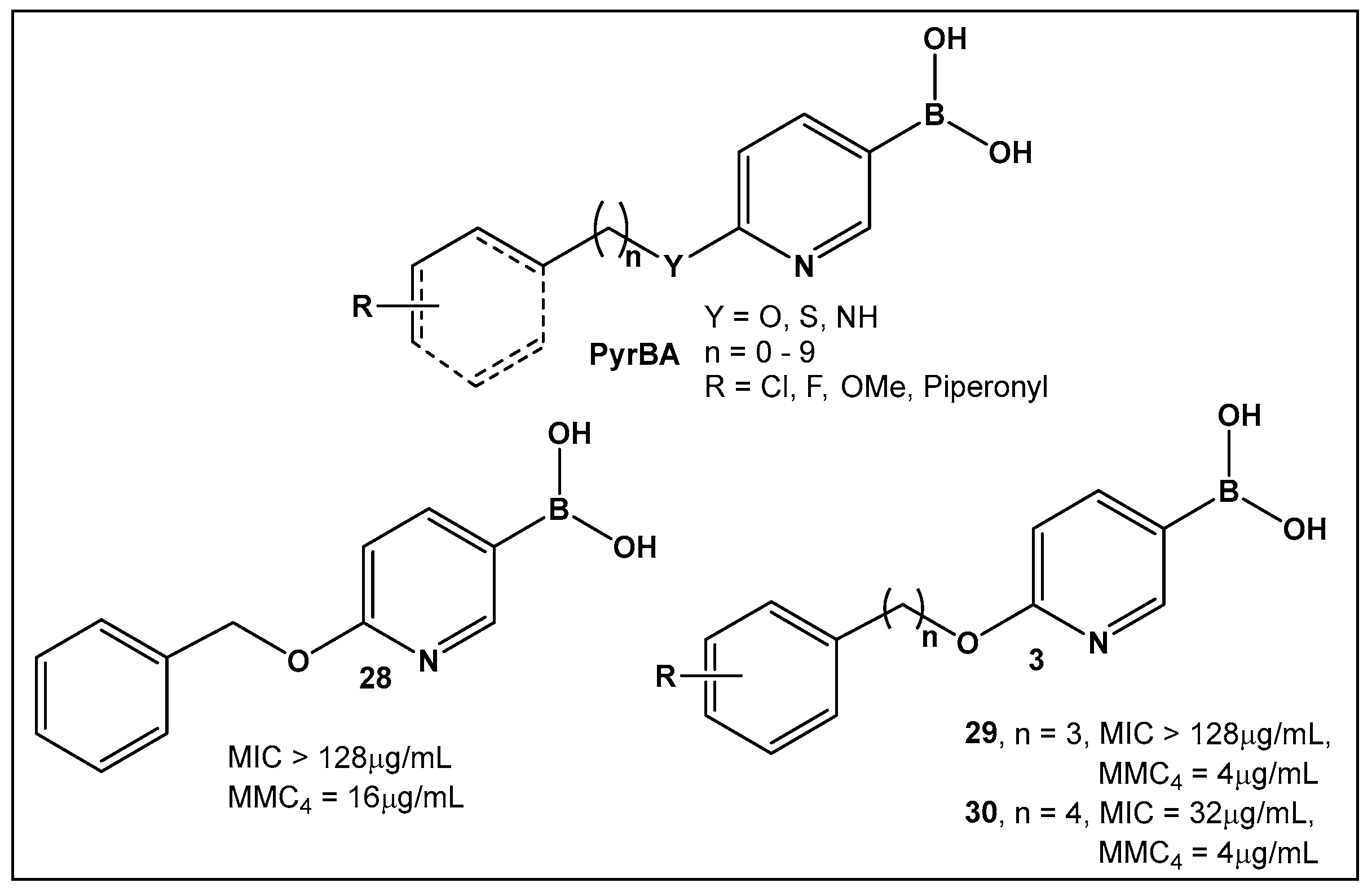 Antibiotics 13 00929 g014