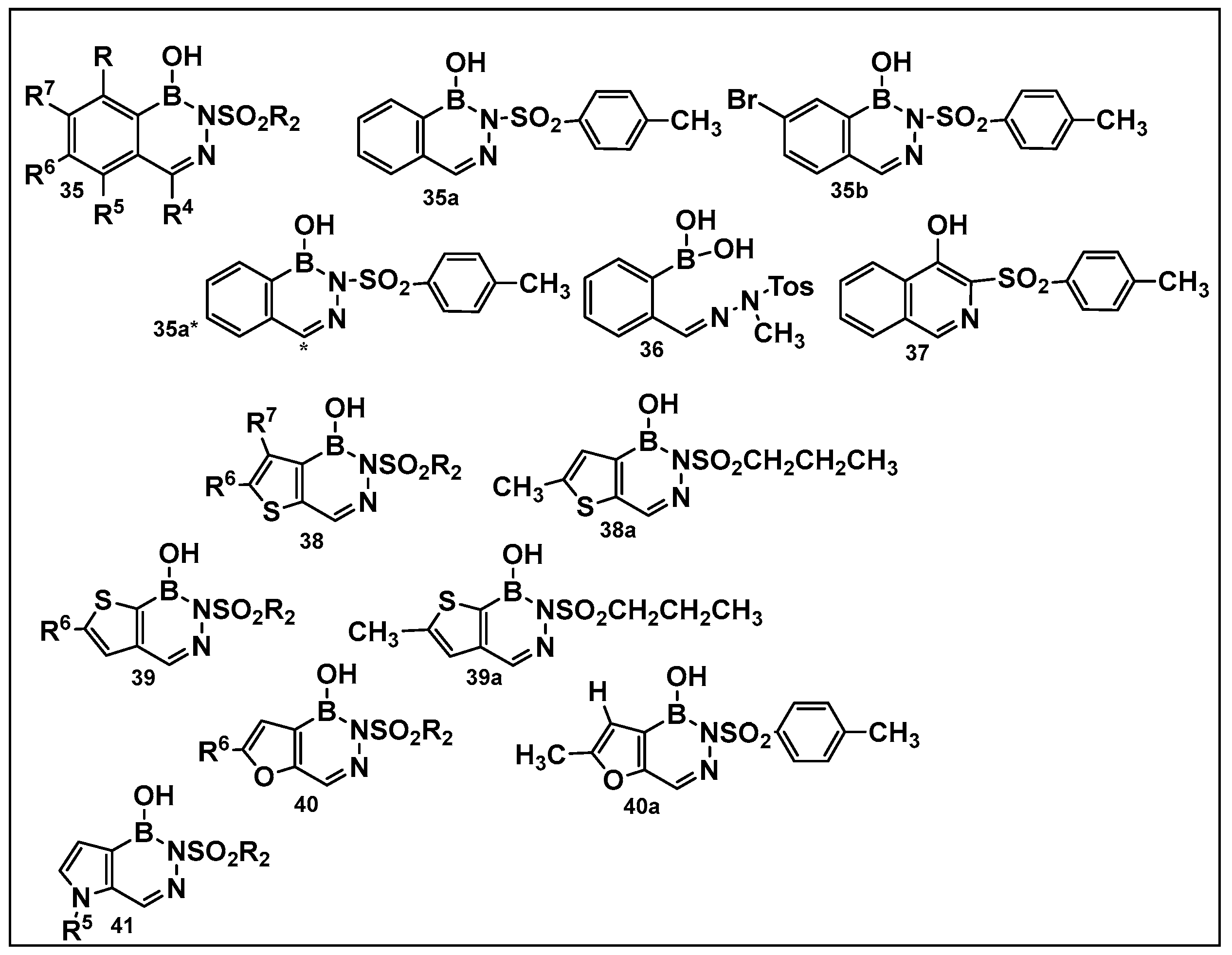 Antibiotics 13 00929 g018
