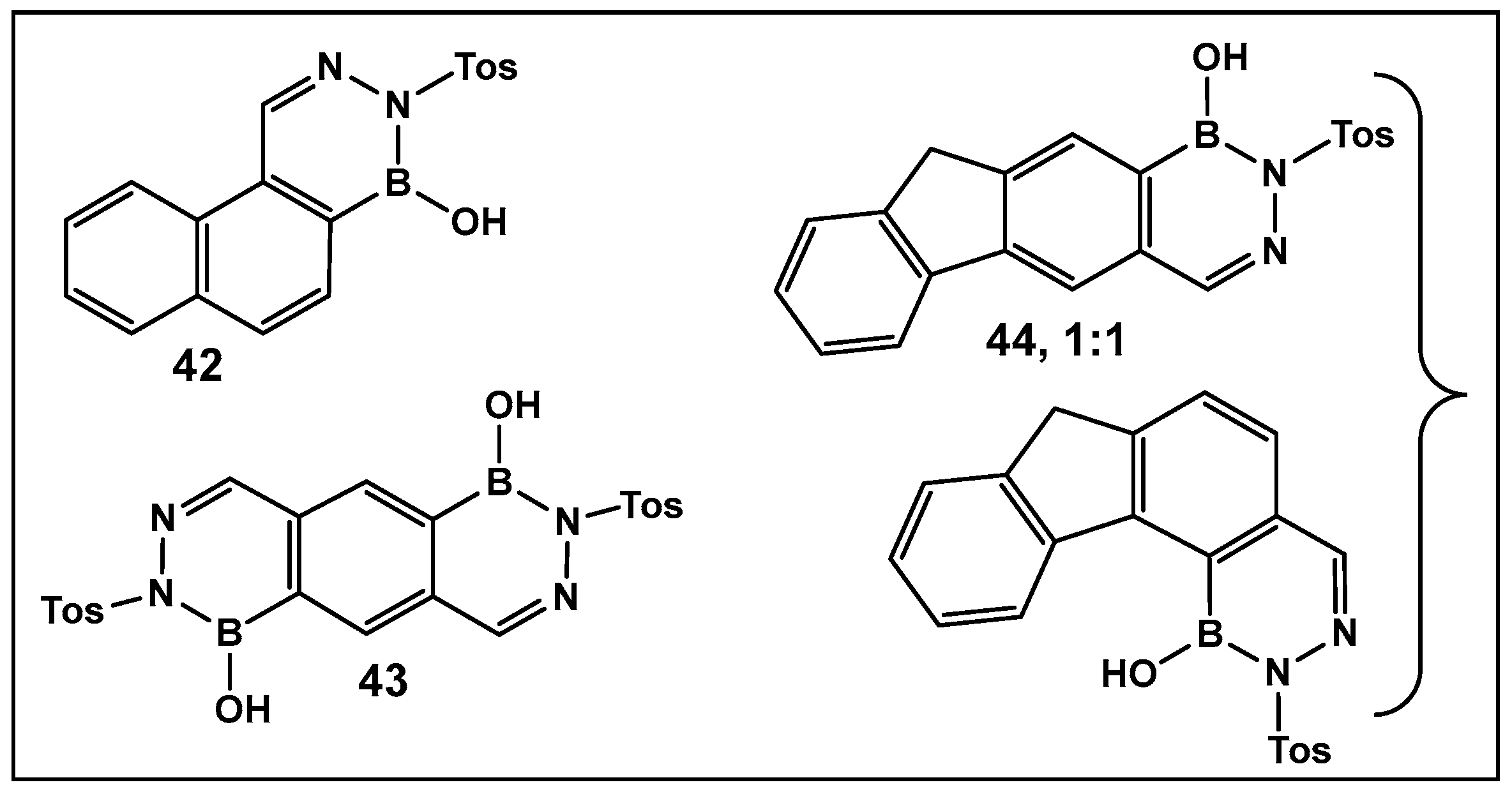 Antibiotics 13 00929 g019