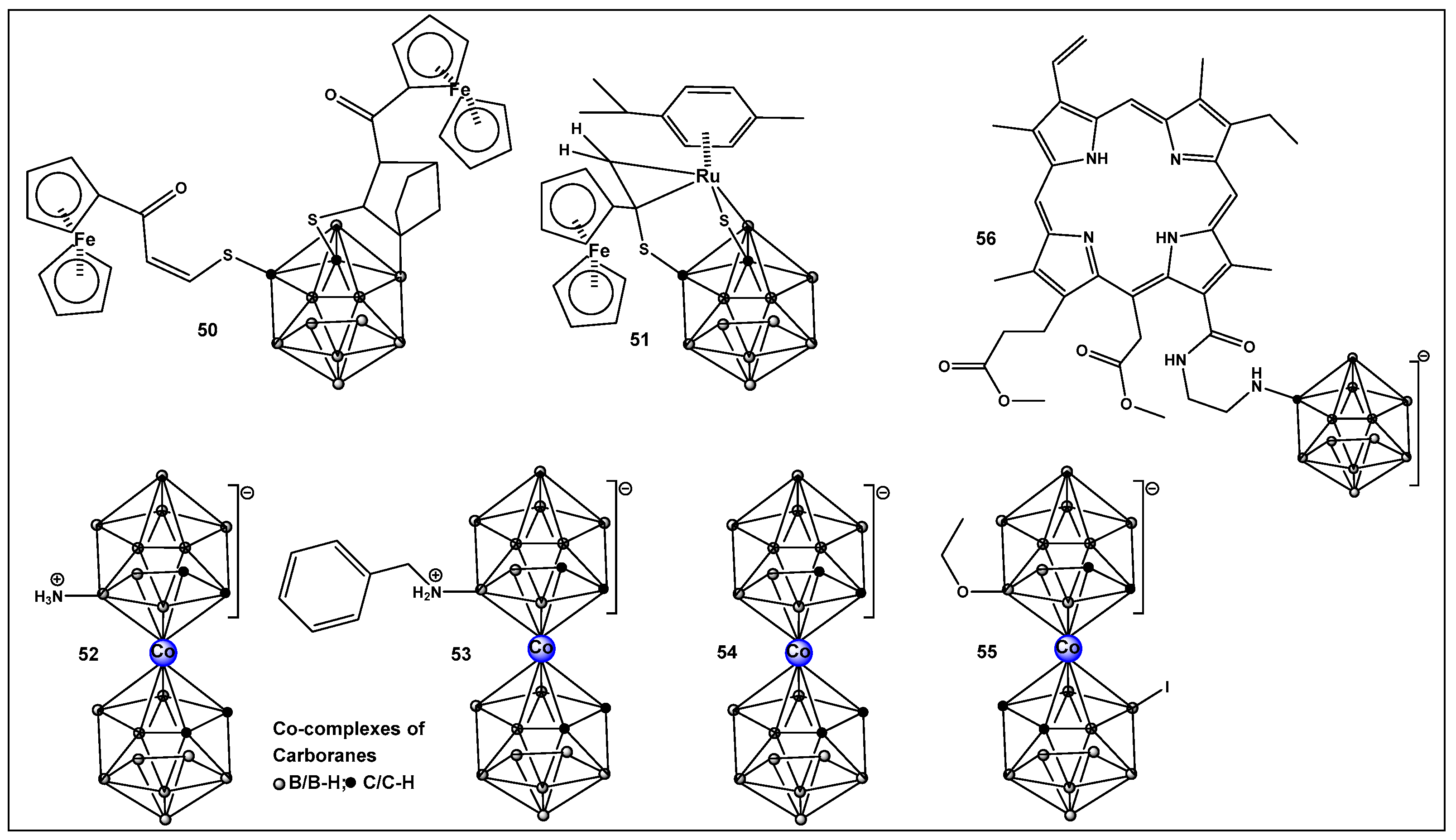 Antibiotics 13 00929 g024