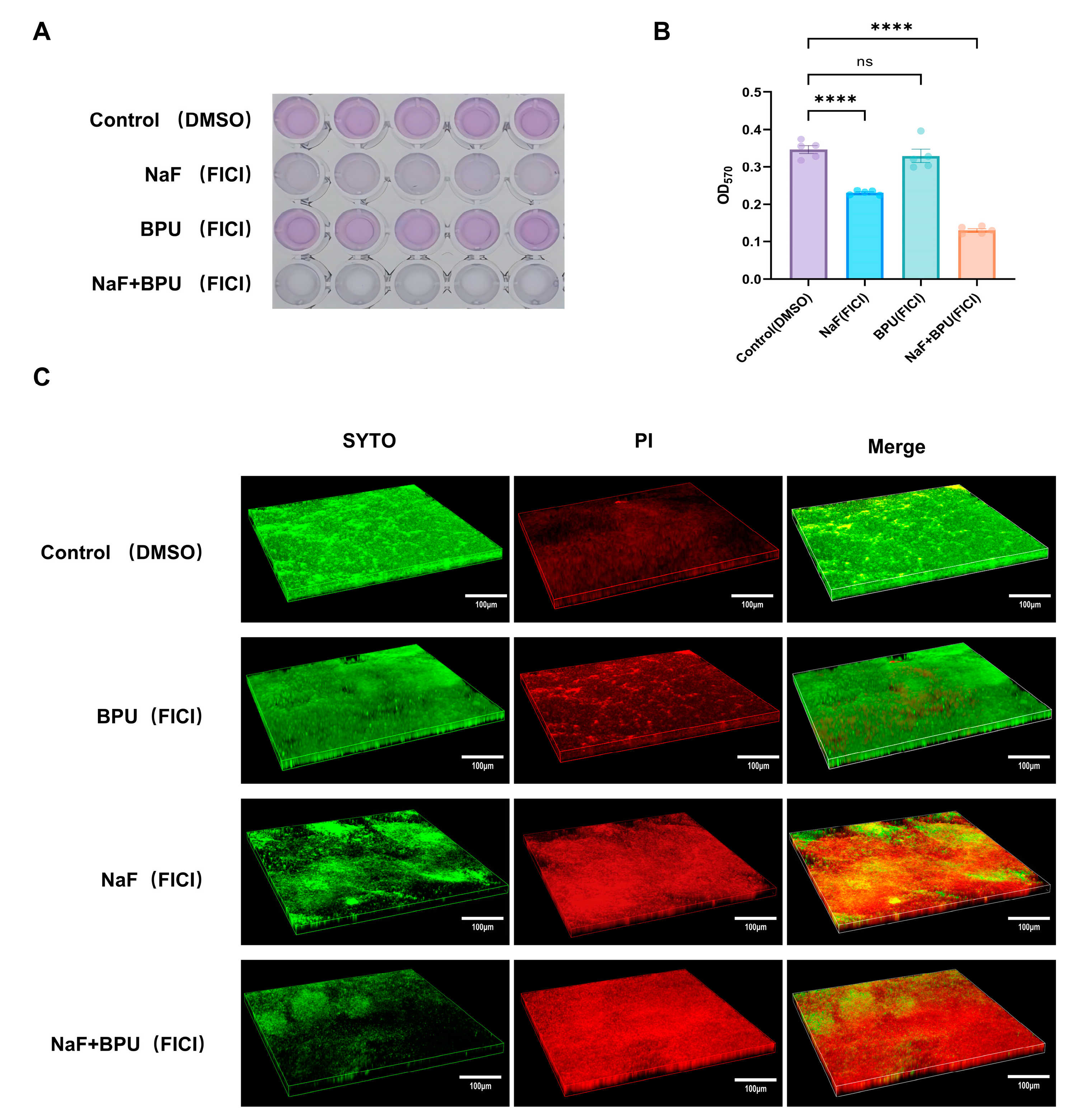 Antibiotics 13 00930 g004