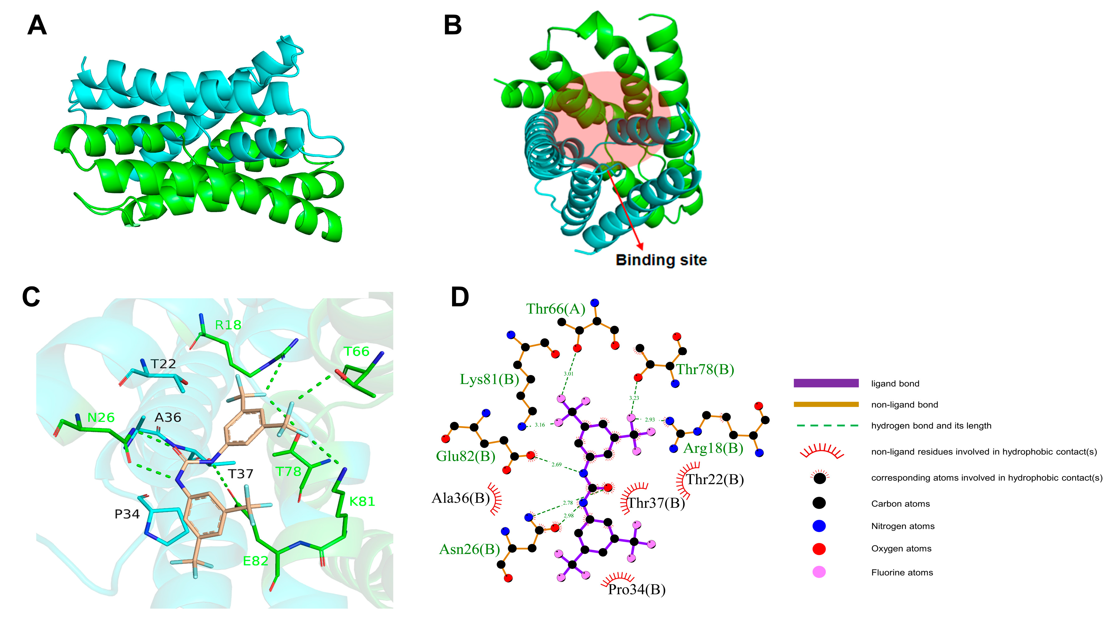 Antibiotics 13 00930 g005
