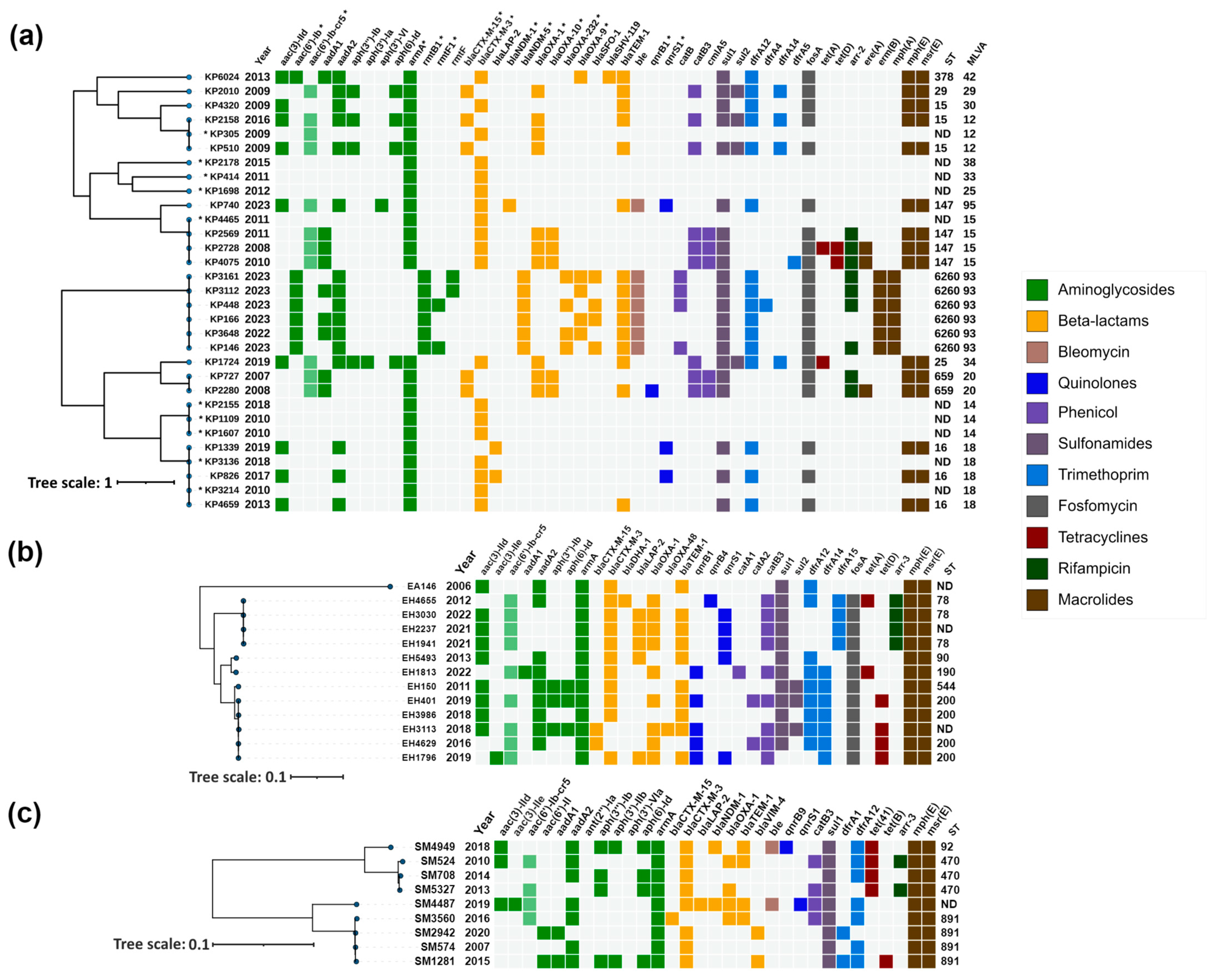 Antibiotics 13 00950 g002