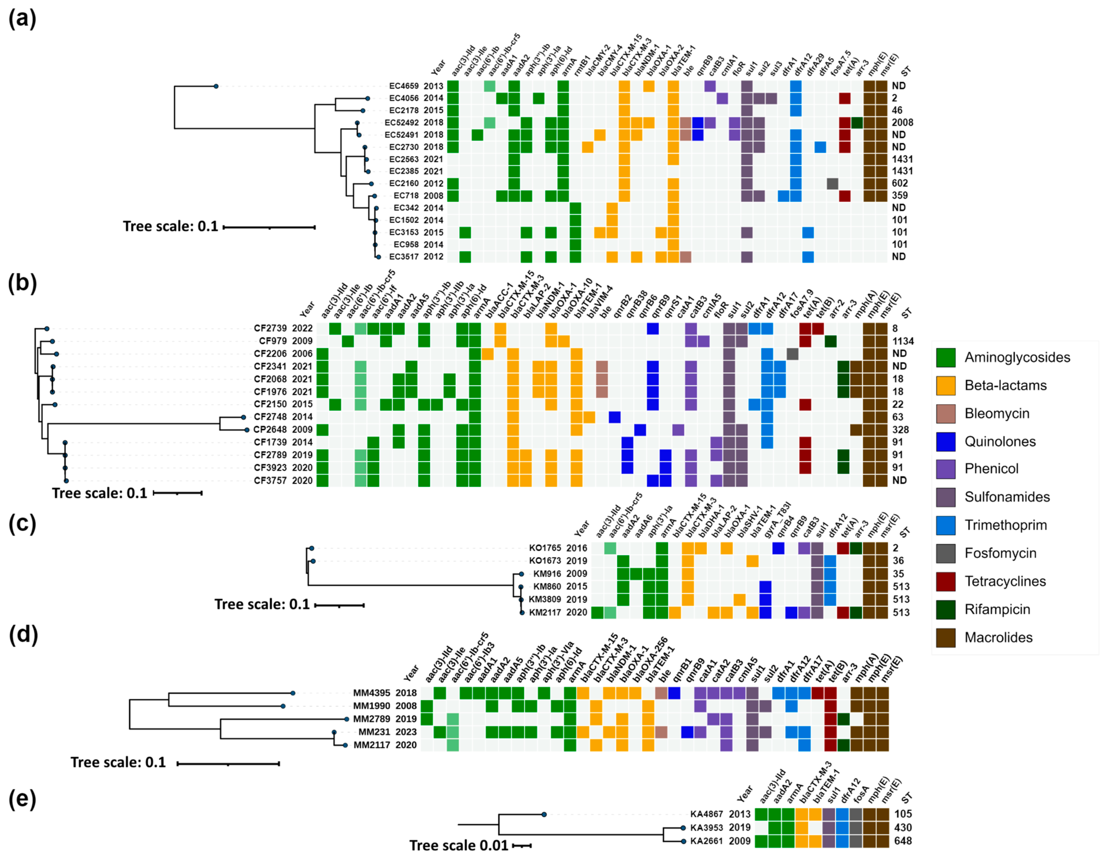 Antibiotics 13 00950 g003