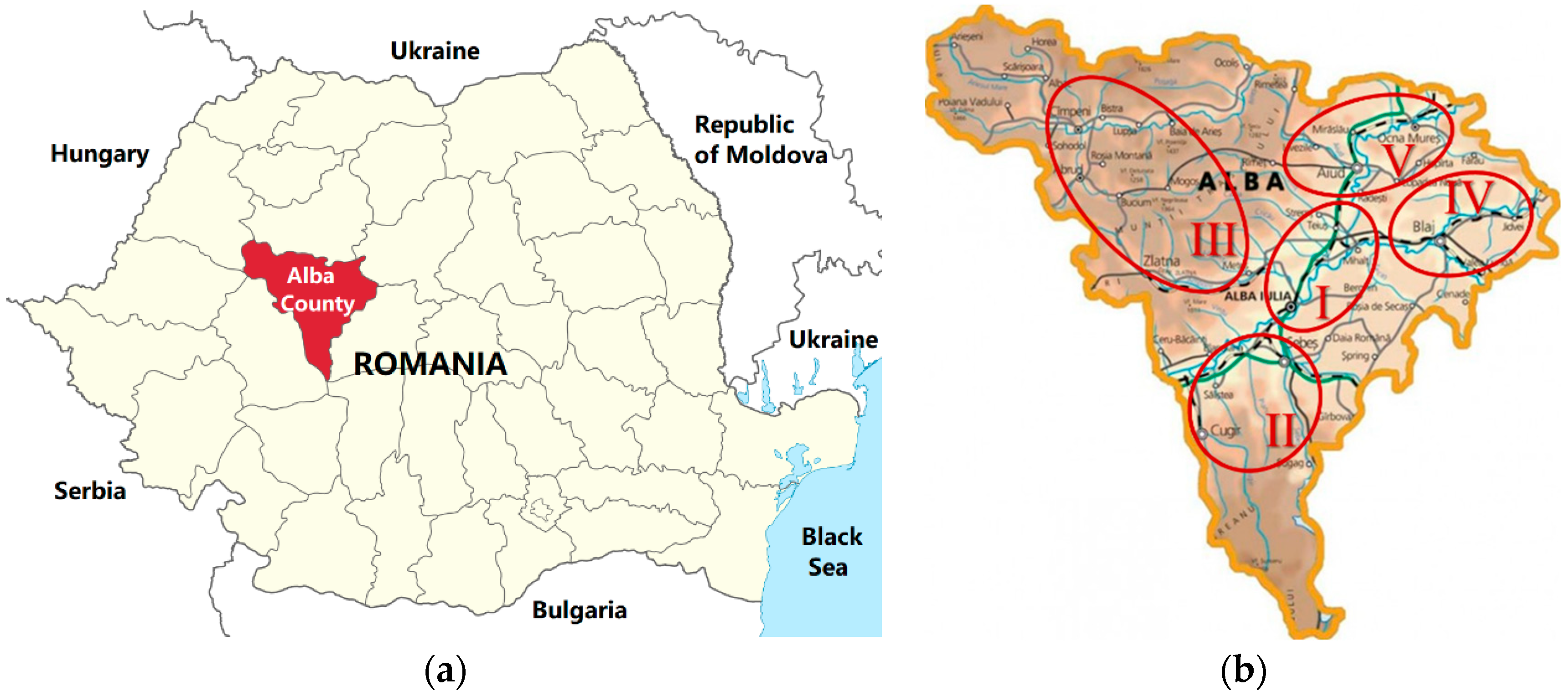 Antibiotics 13 00952 g001