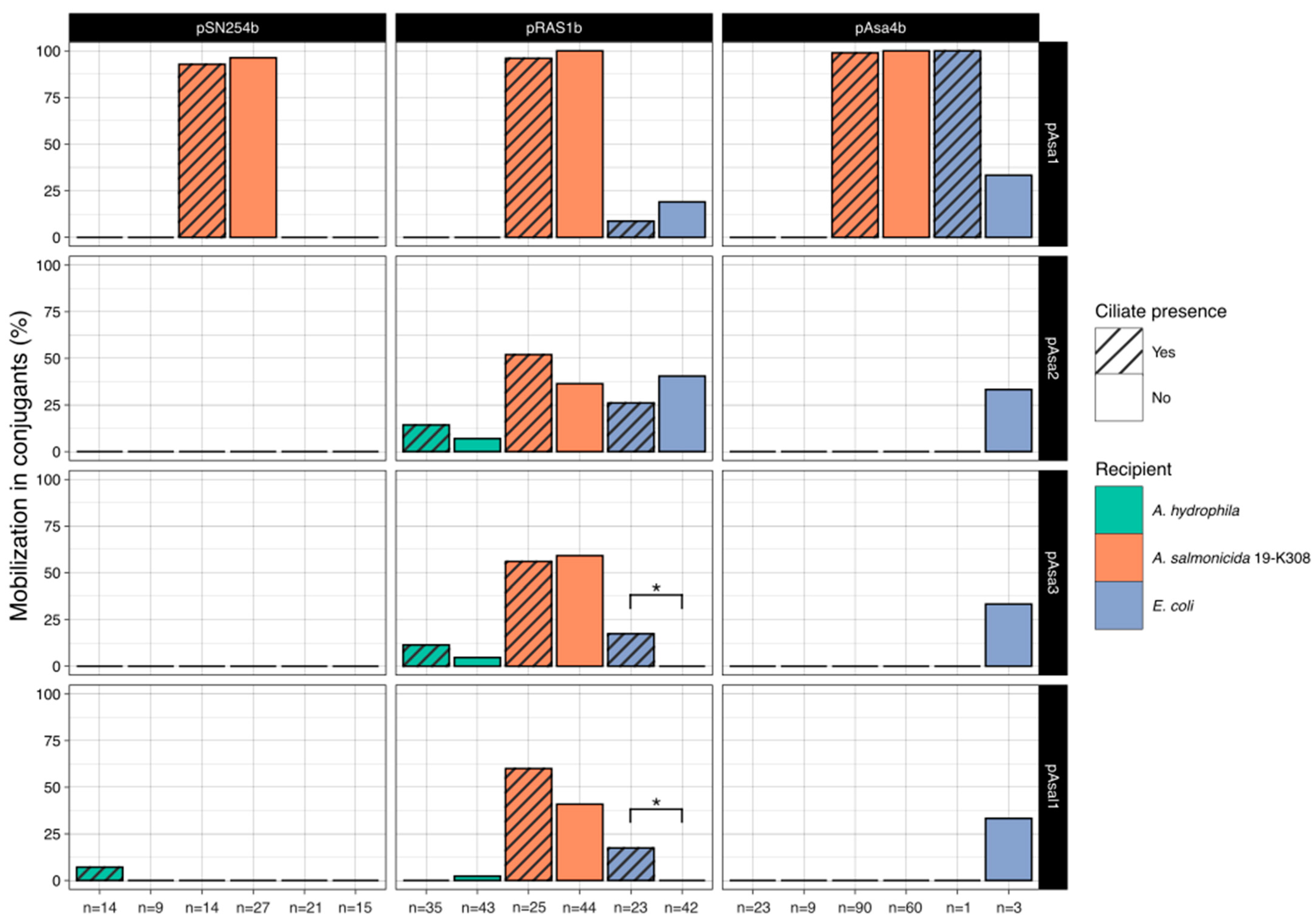 Antibiotics 13 00960 g002