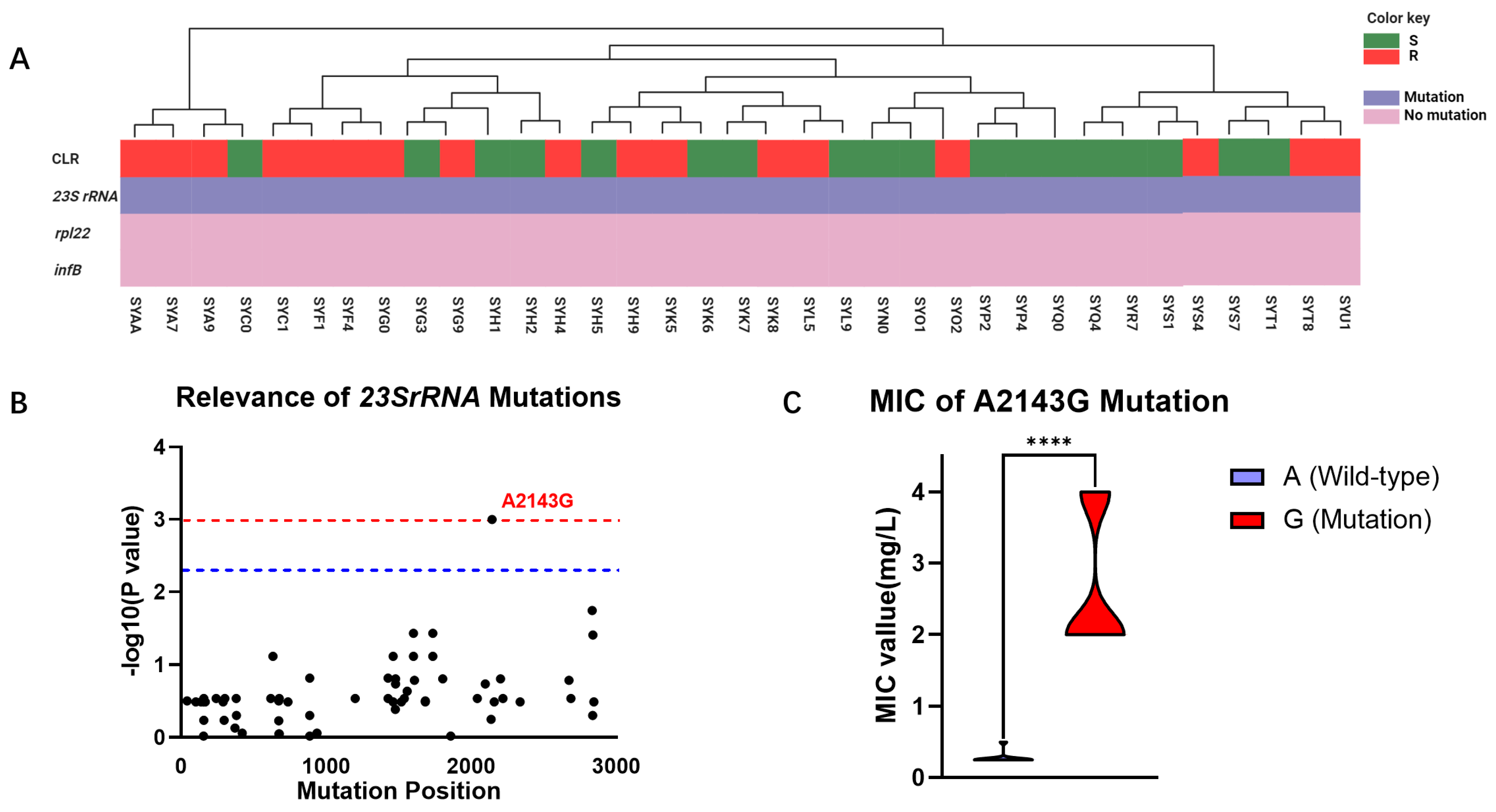 Antibiotics 13 00975 g002