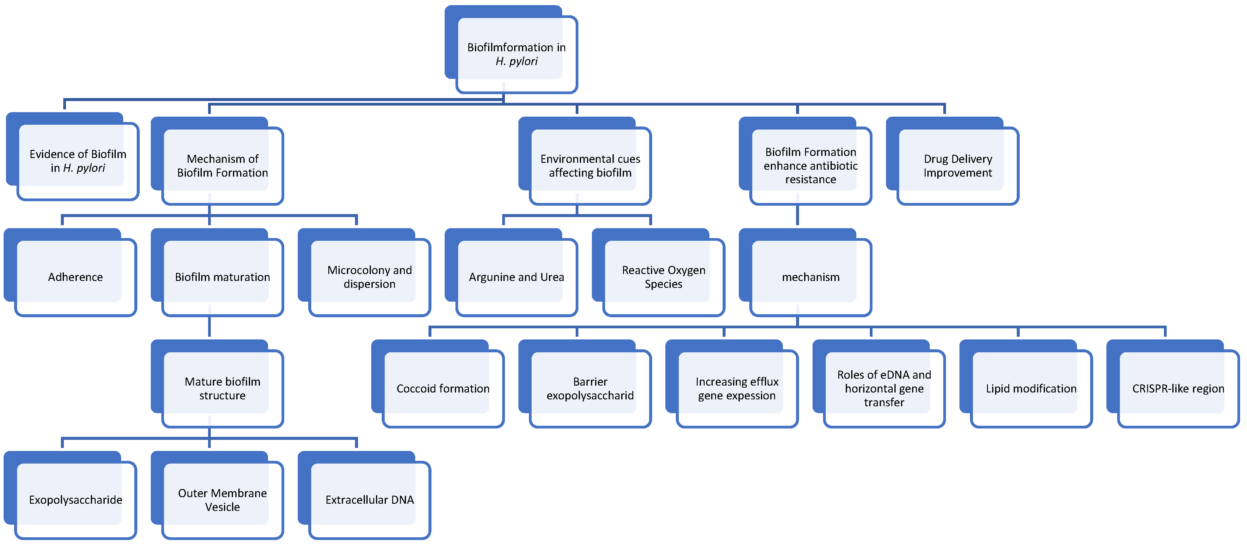 Antibiotics 13 00976 g001