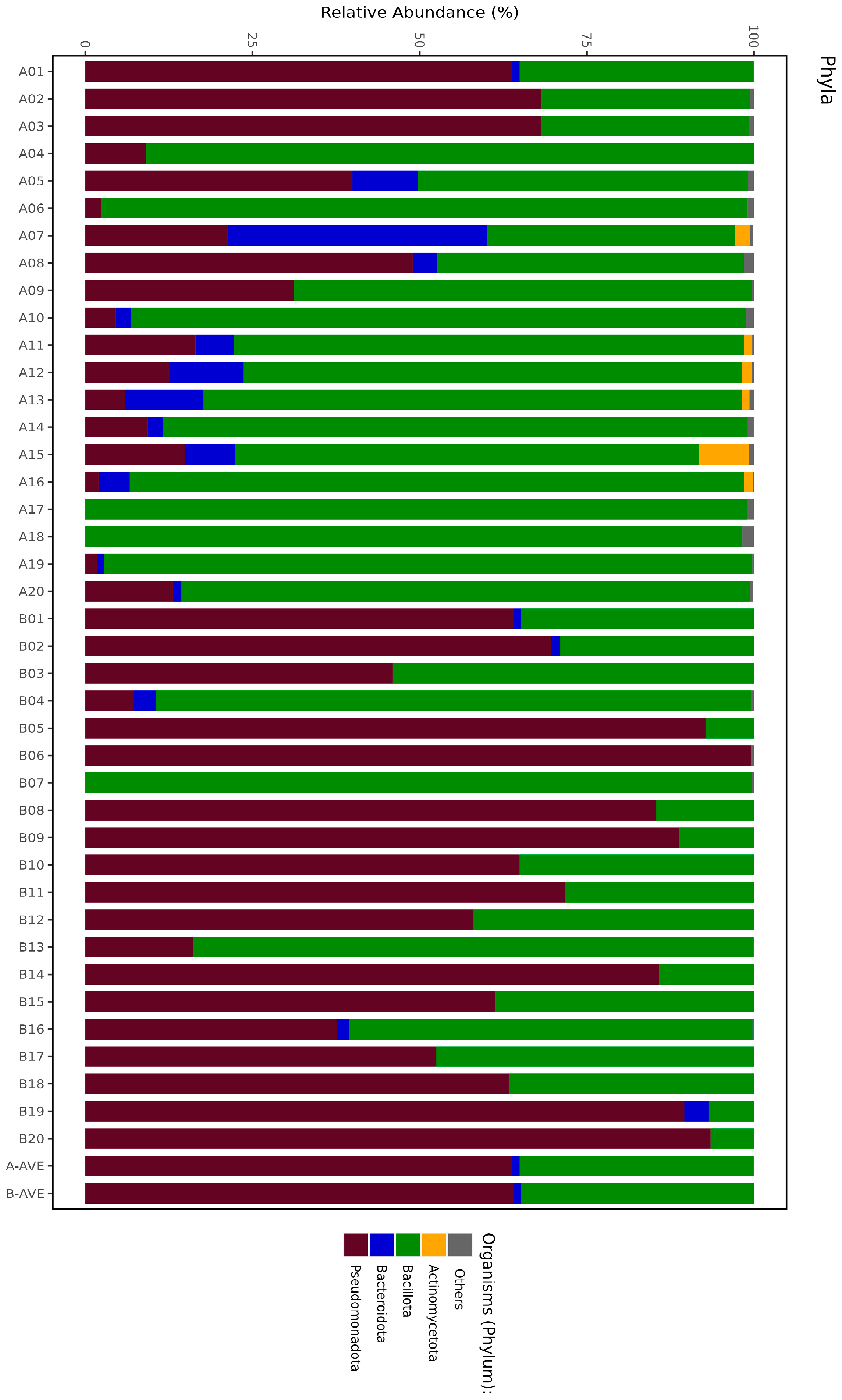 Antibiotics 13 00977 g002