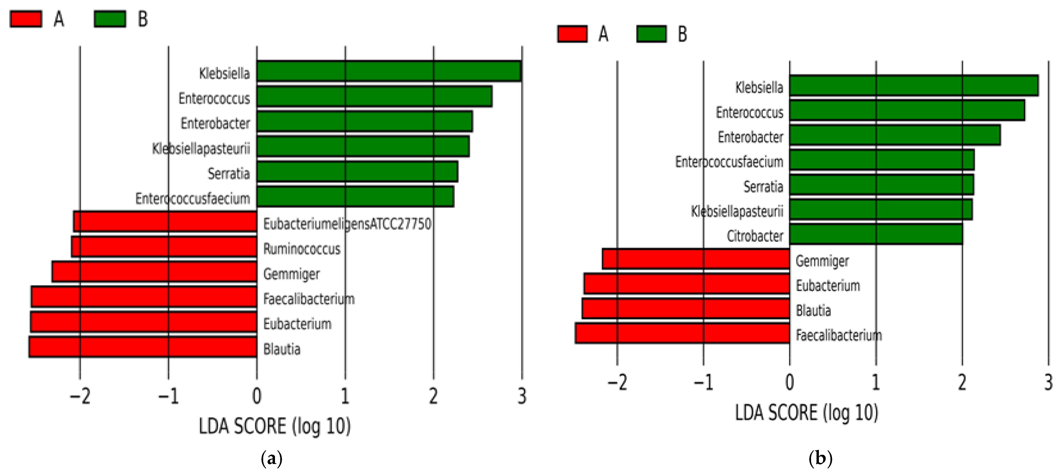Antibiotics 13 00977 g006