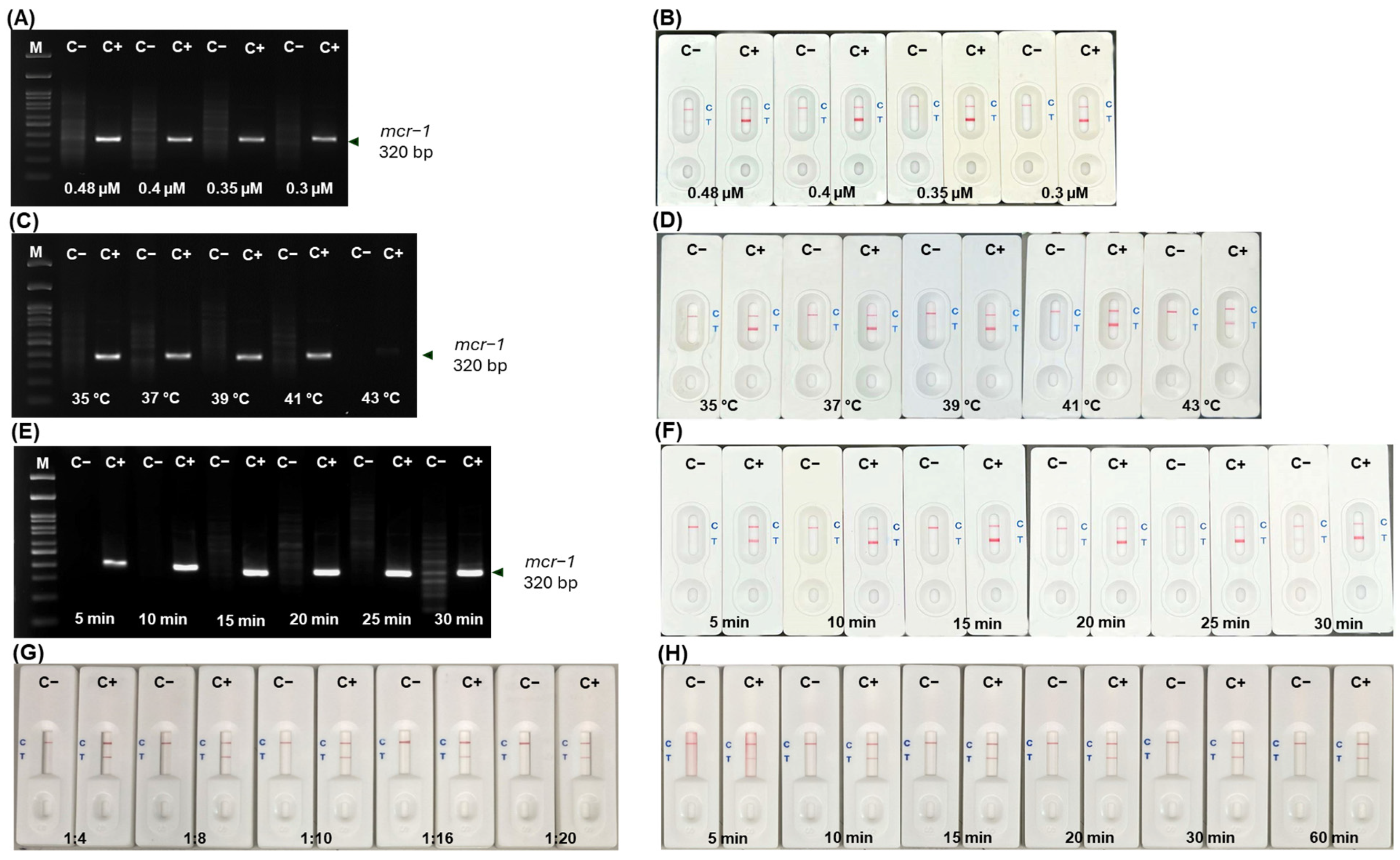 Antibiotics 13 00984 g003